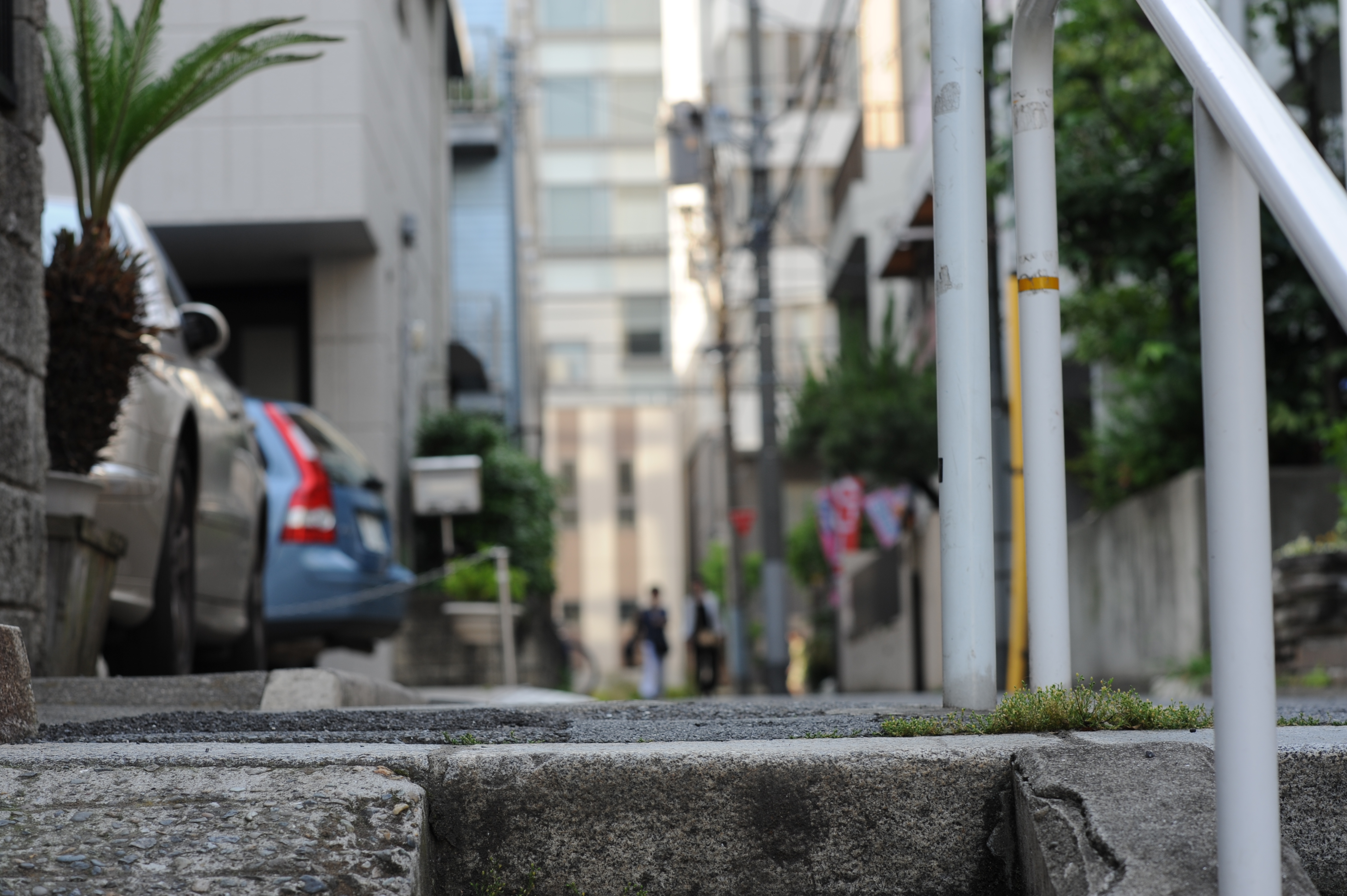 <b>D700 / 85mm F1.4 Aspherical IF / 4,256×2,832 / 1/160秒 / F5.6 / 0EV / ISO200 / 絞り優先AE / WB:オート / 85mm</b>