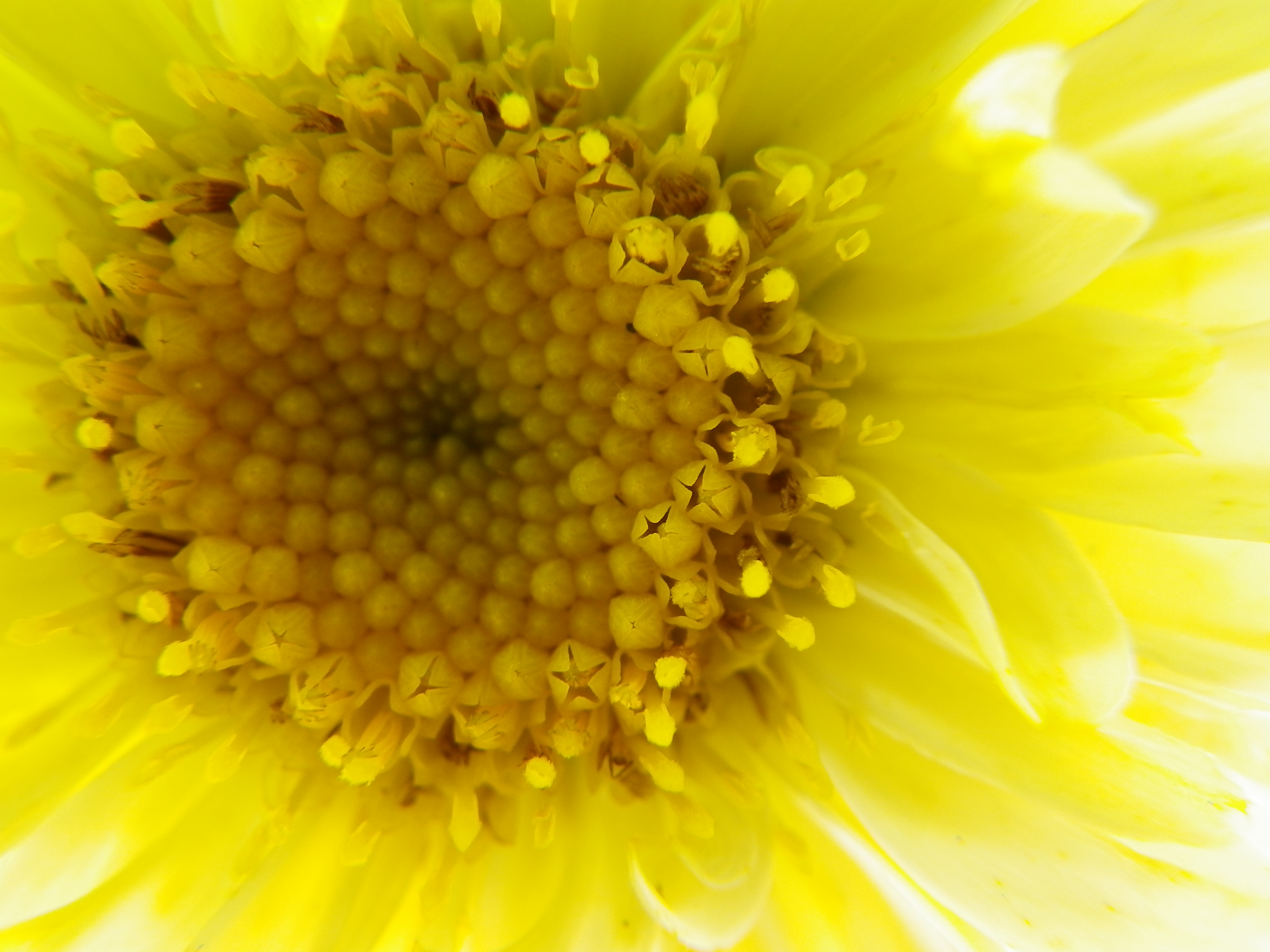 <b>Optio W90 / 4,000×3,000 / 1/10秒 / F3.8 / 0EV / ISO80 / WB:太陽光 / 6.1mm</b>