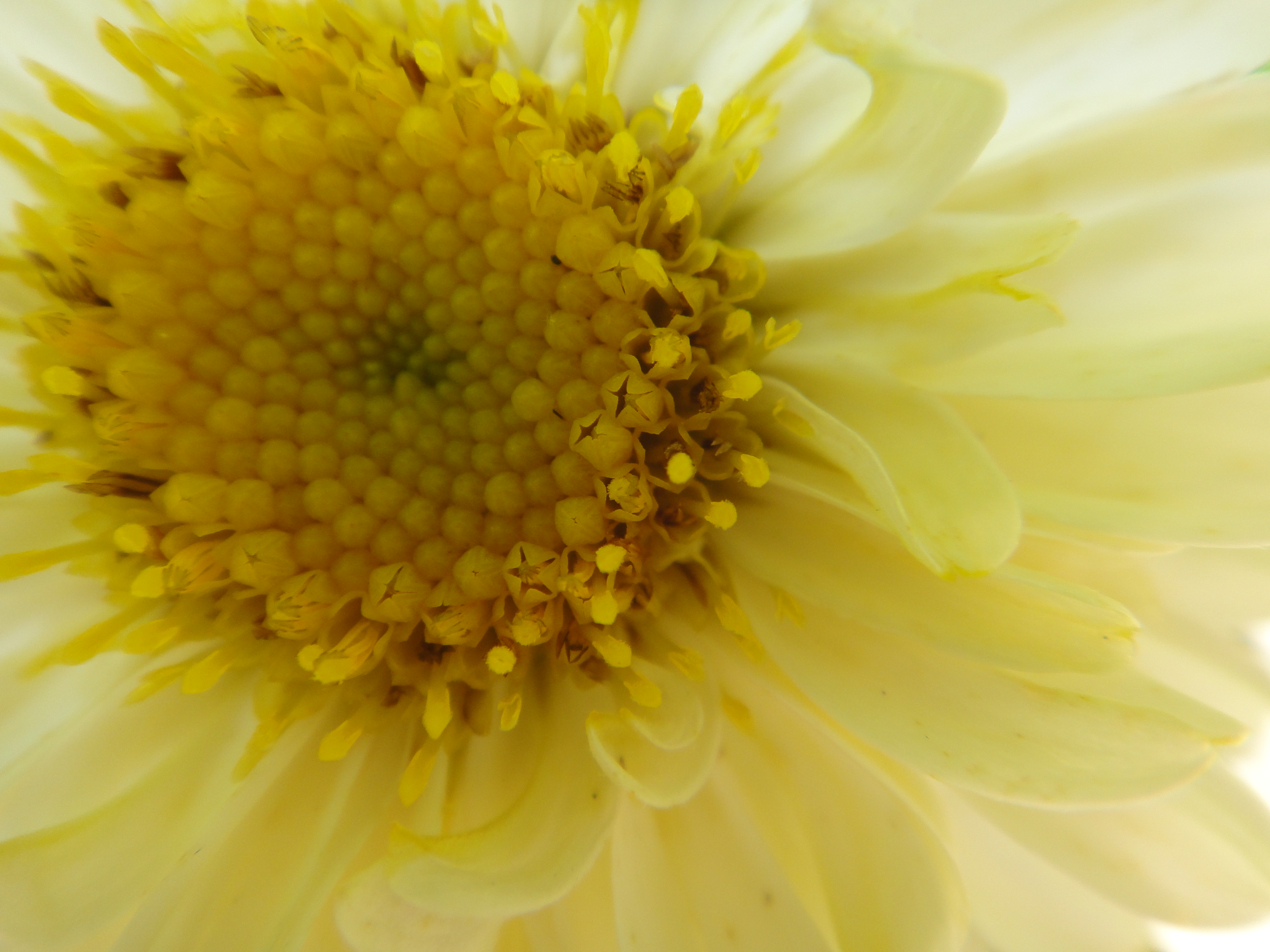 <b>DSC-TX5 / 3,648×2,736 / 1/80秒 / F3.5 / ＋0.3EV / ISO125 / WB:太陽光 / 4.4mm</b>