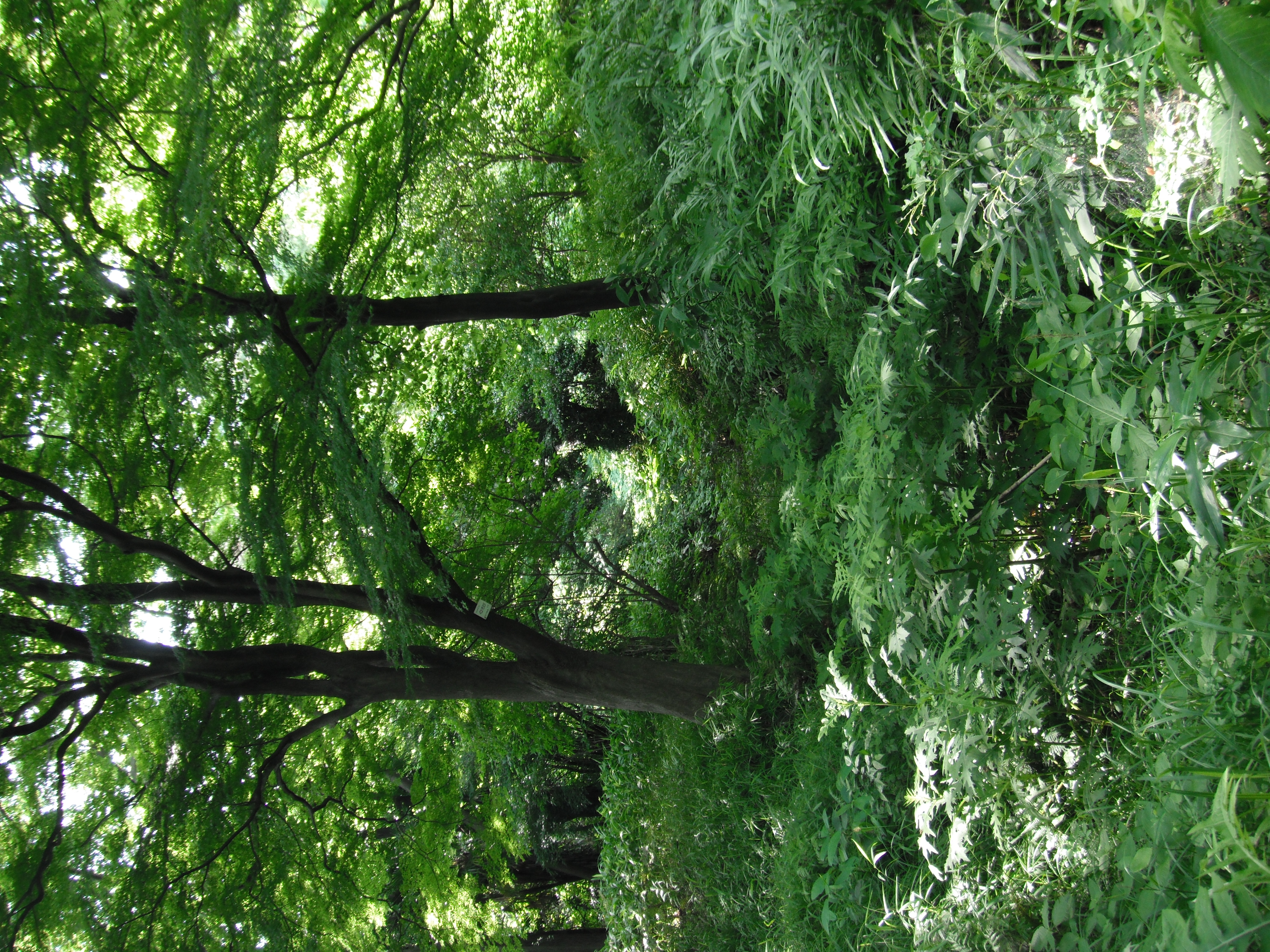 <b>FinePix XP10 / ISO100</b>