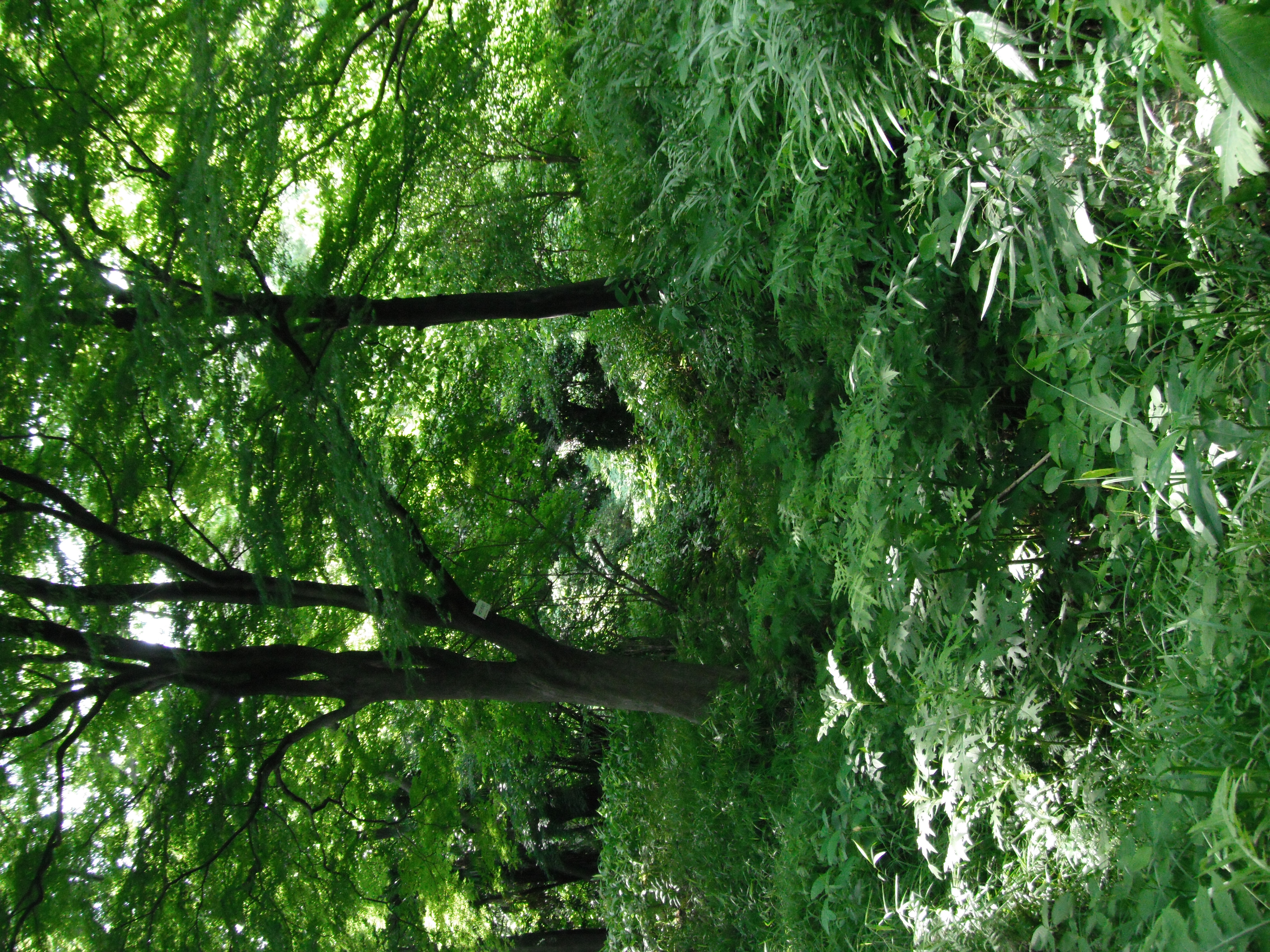 <b>FinePix XP10 / ISO400</b>