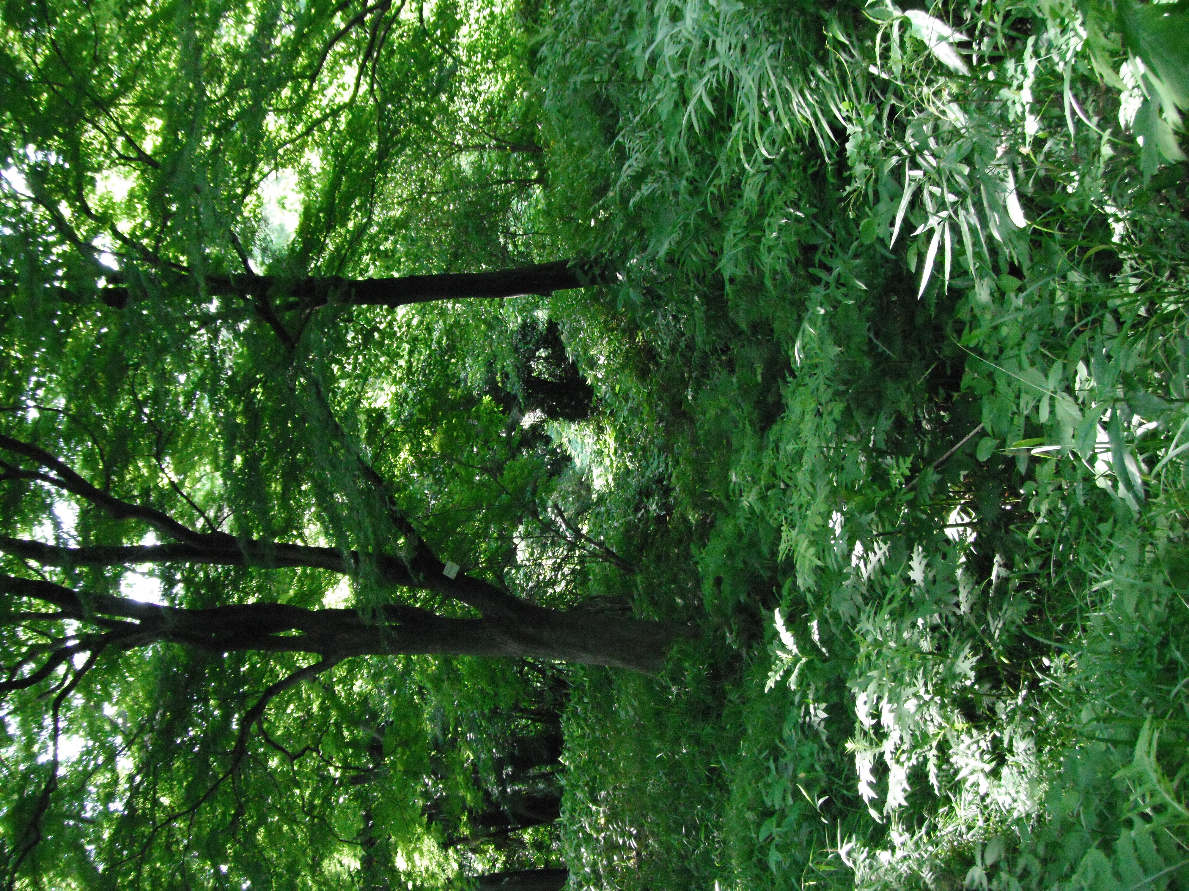 <b>FinePix XP10 / ISO1600</b>