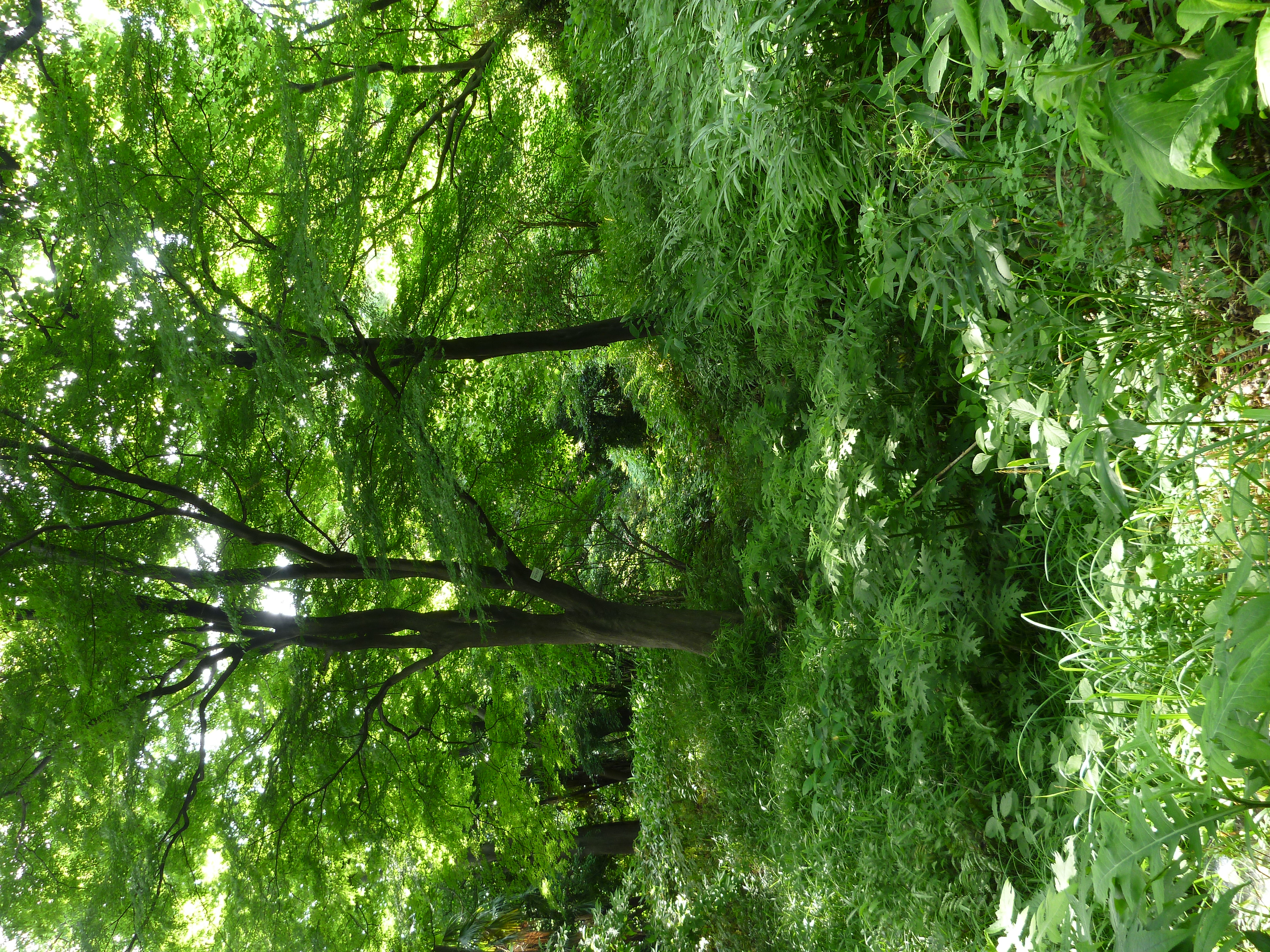 <b>DMC-FT2 / ISO80</b>