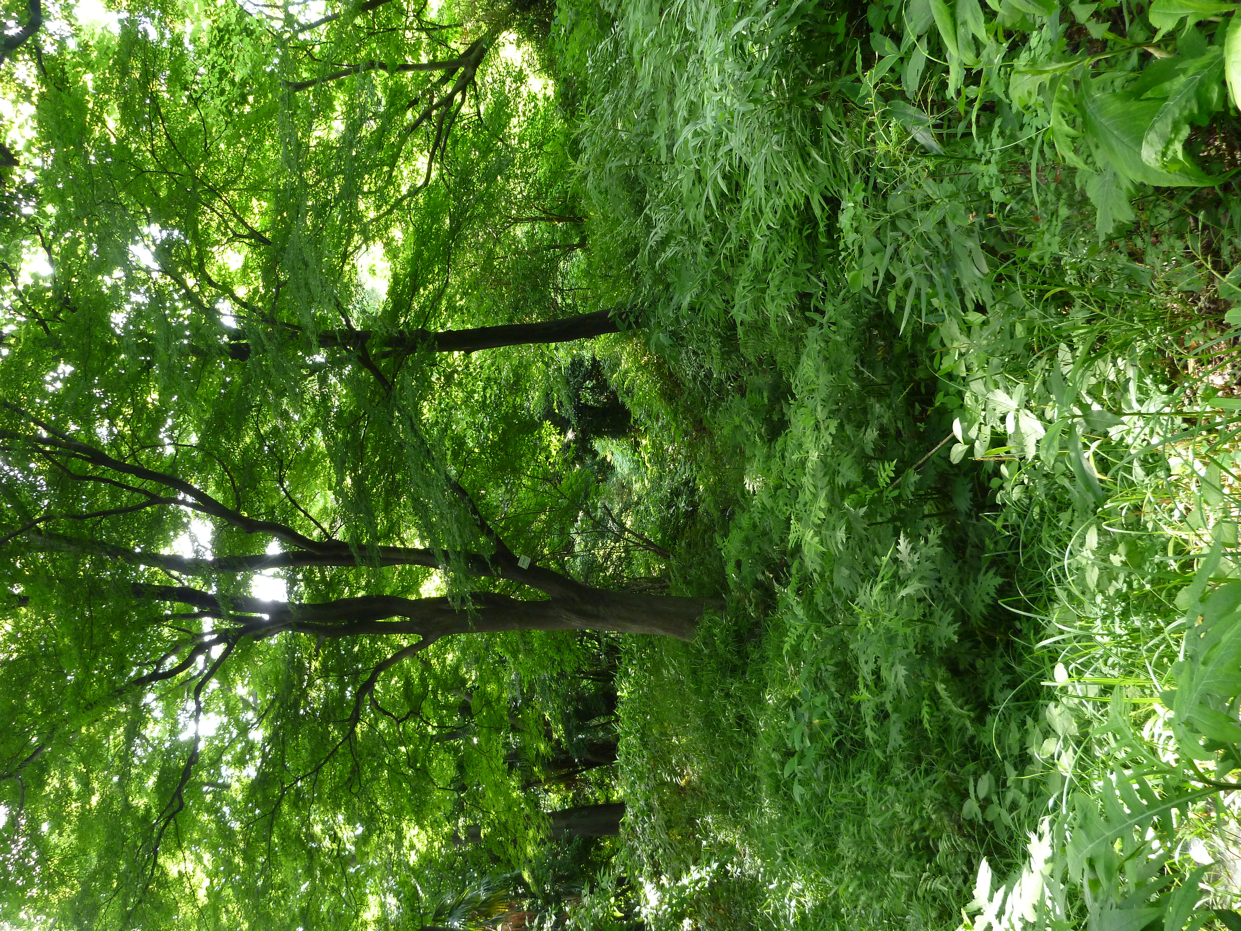 <b>DMC-FT2 / ISO200</b>