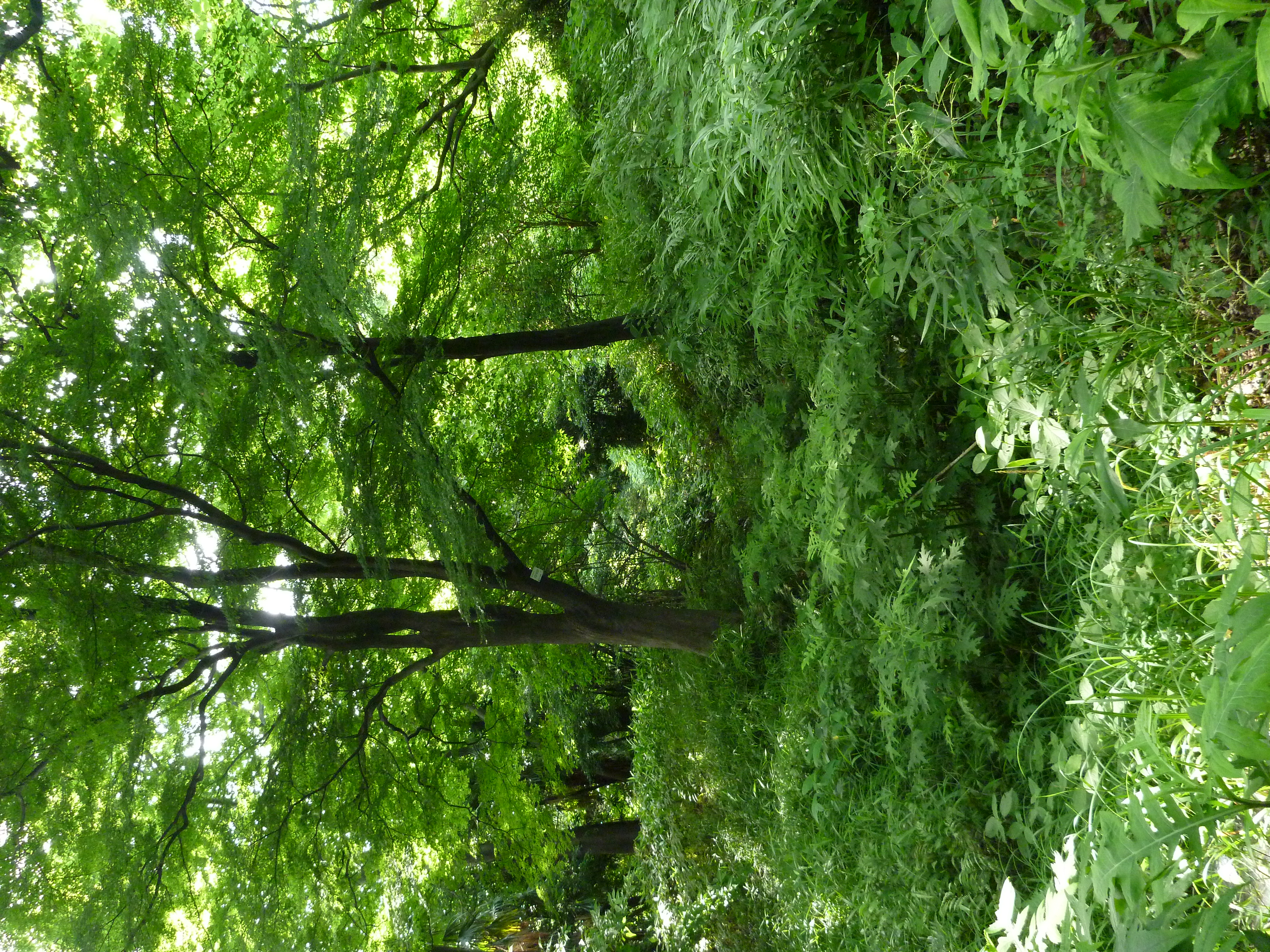 <b>DMC-FT2 / ISO400</b>