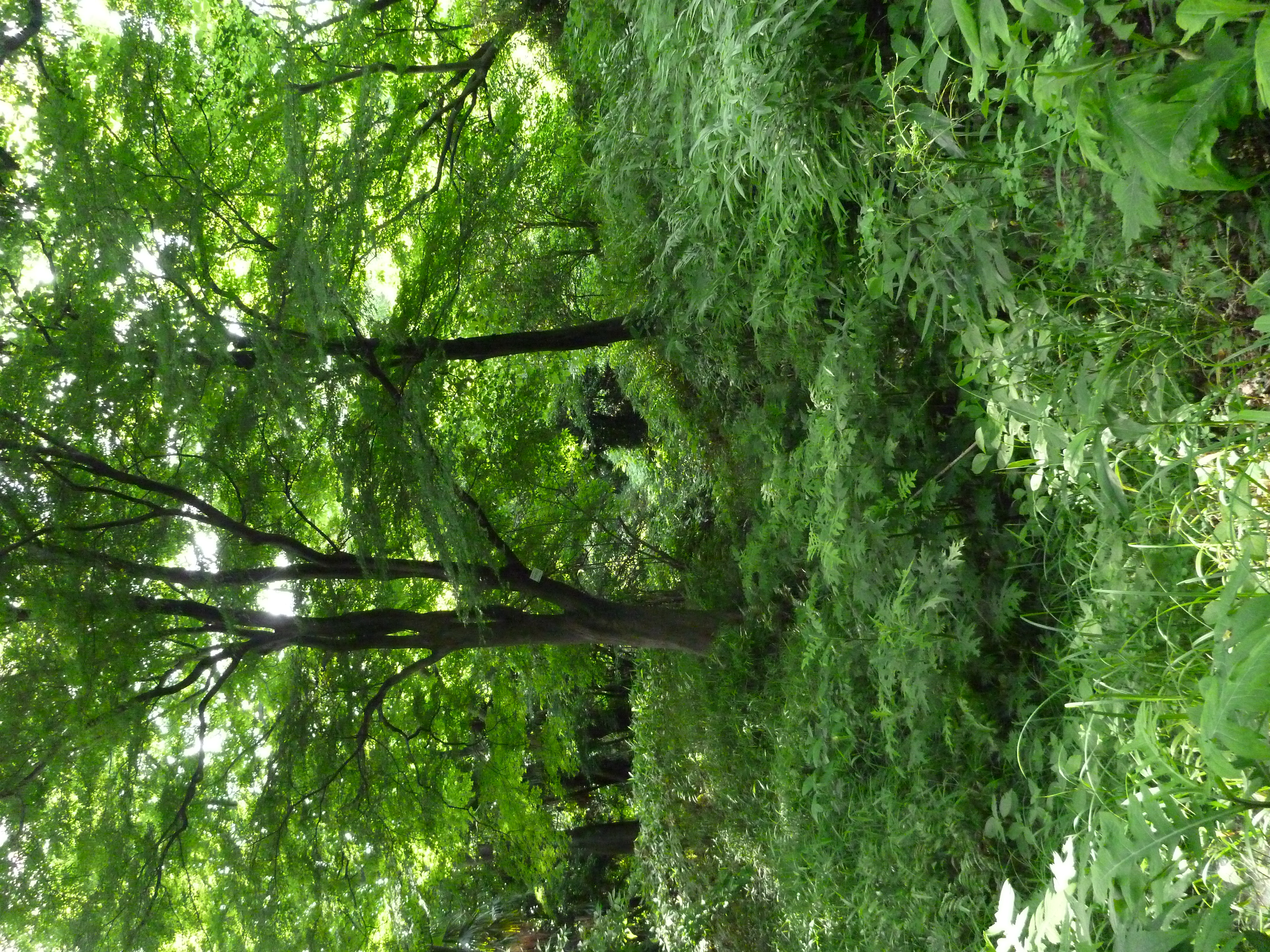 <b>DMC-FT2 / ISO800</b>