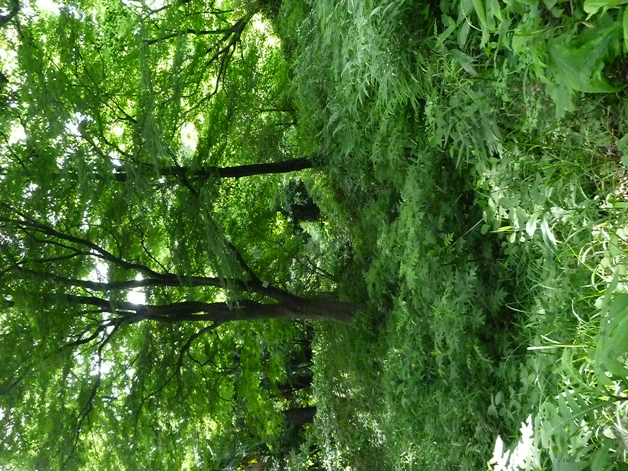 <b>DMC-FT2 / ISO1600（高感度モード）</b>