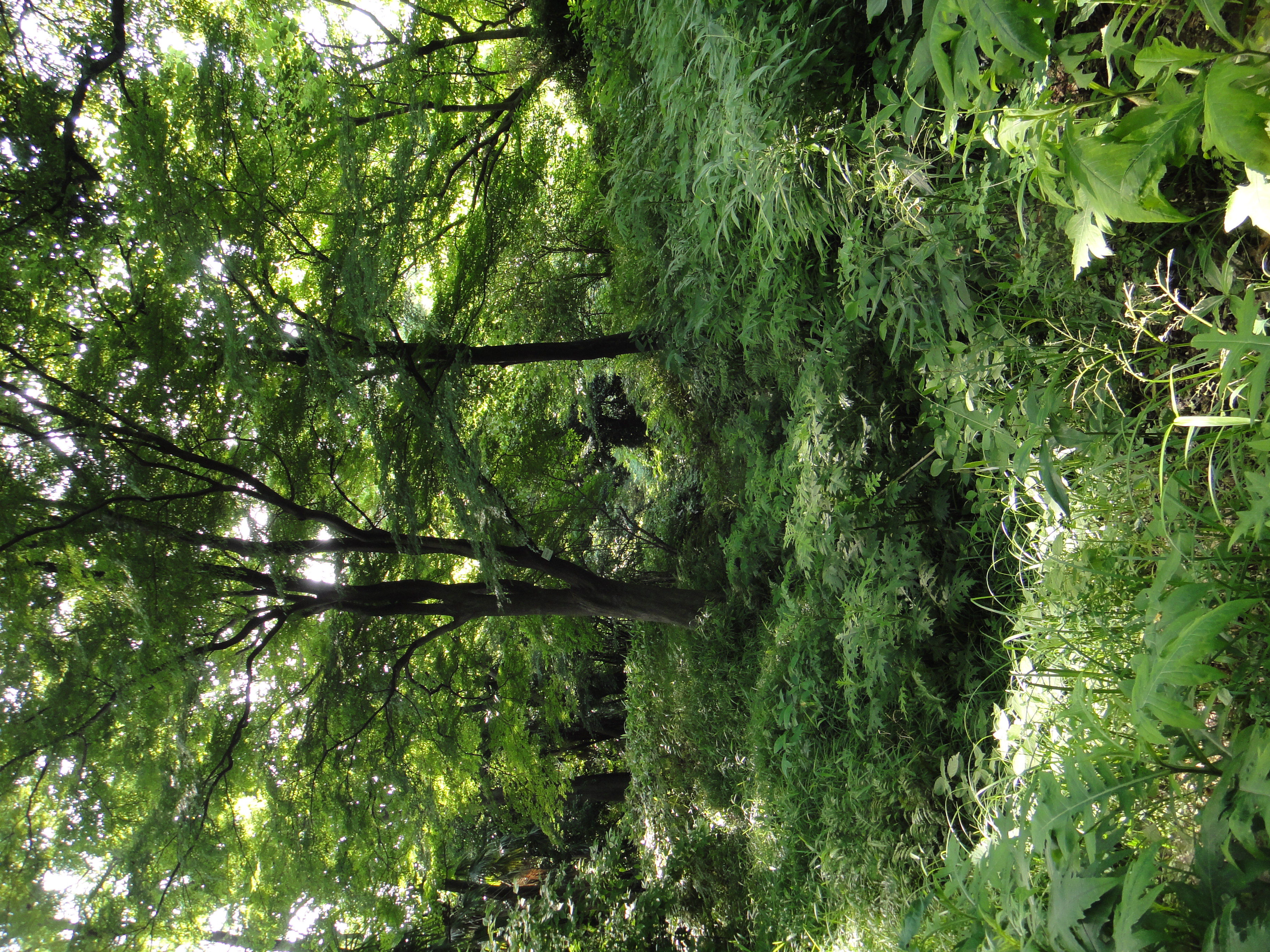 <b>DSC-TX5 / ISO125</b>