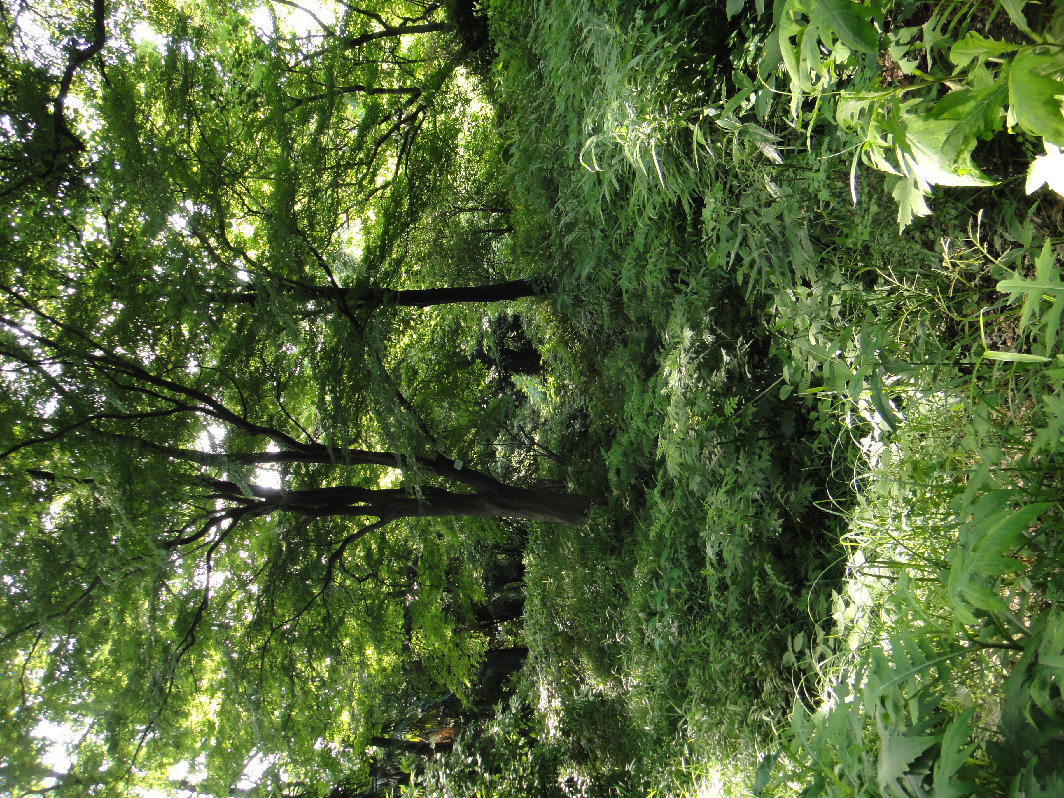 <b>DSC-TX5 / ISO200</b>