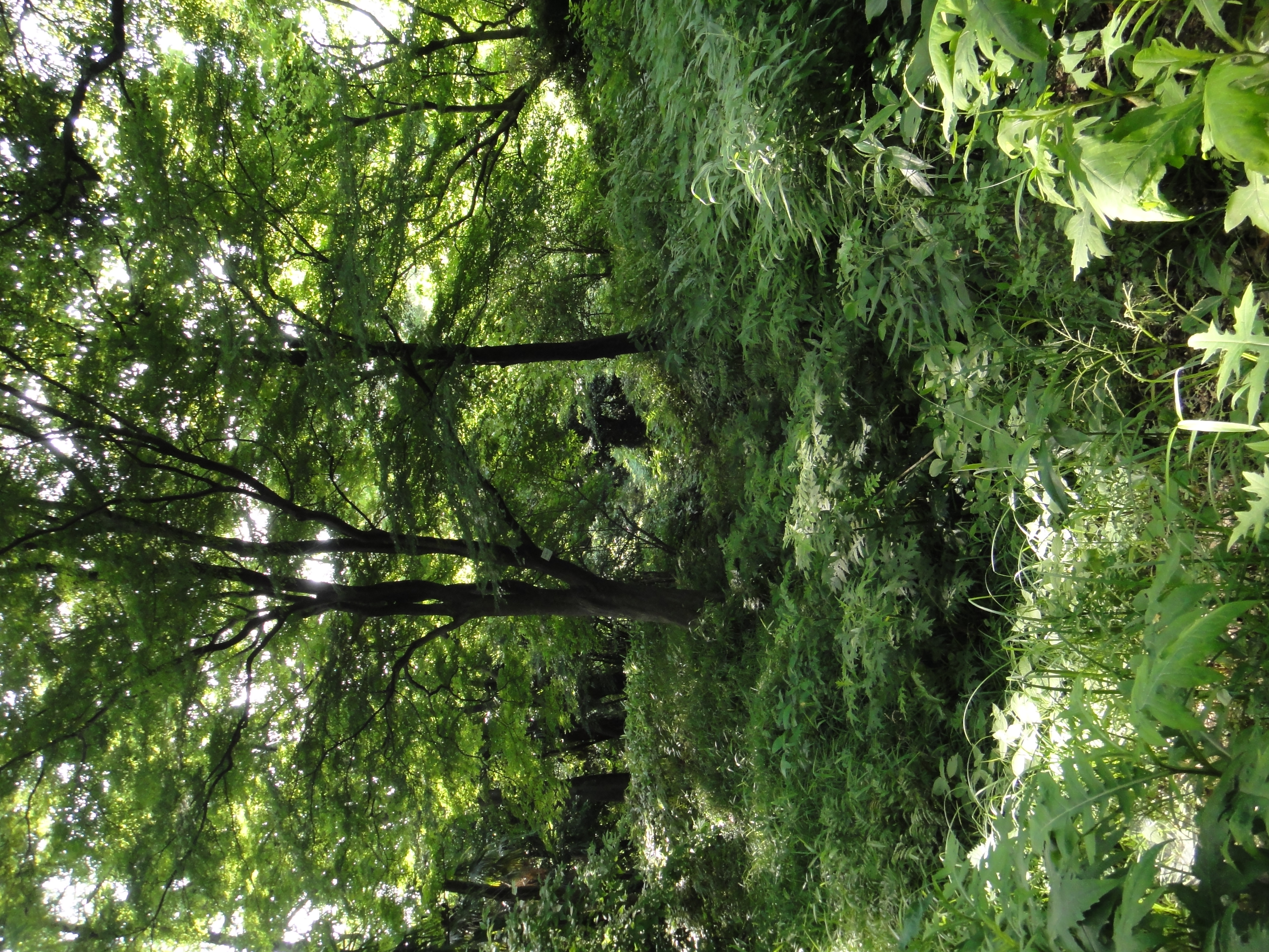 <b>DSC-TX5 / ISO400</b>