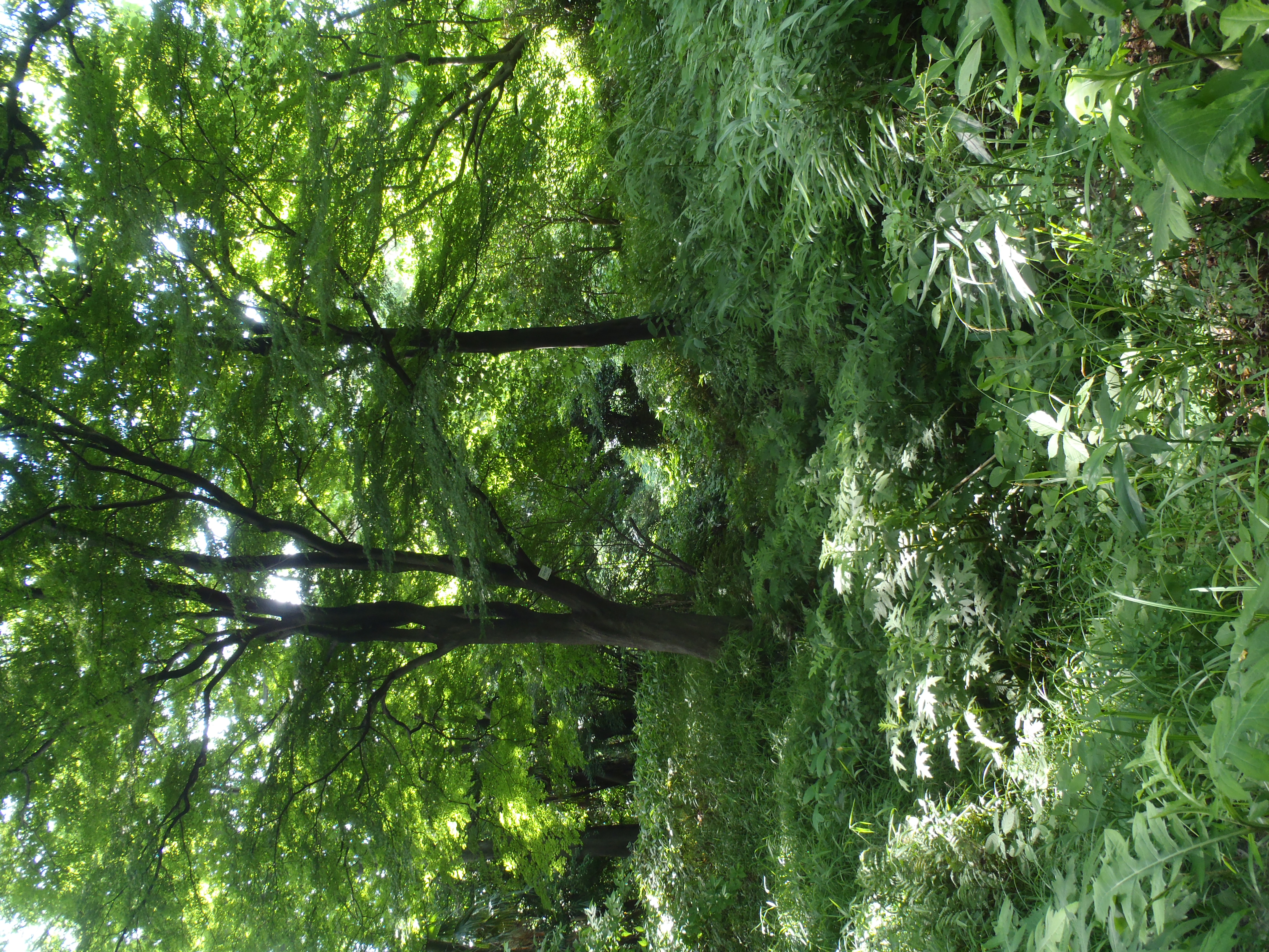 <b>μTOUGH-8010 / ISO80</b>