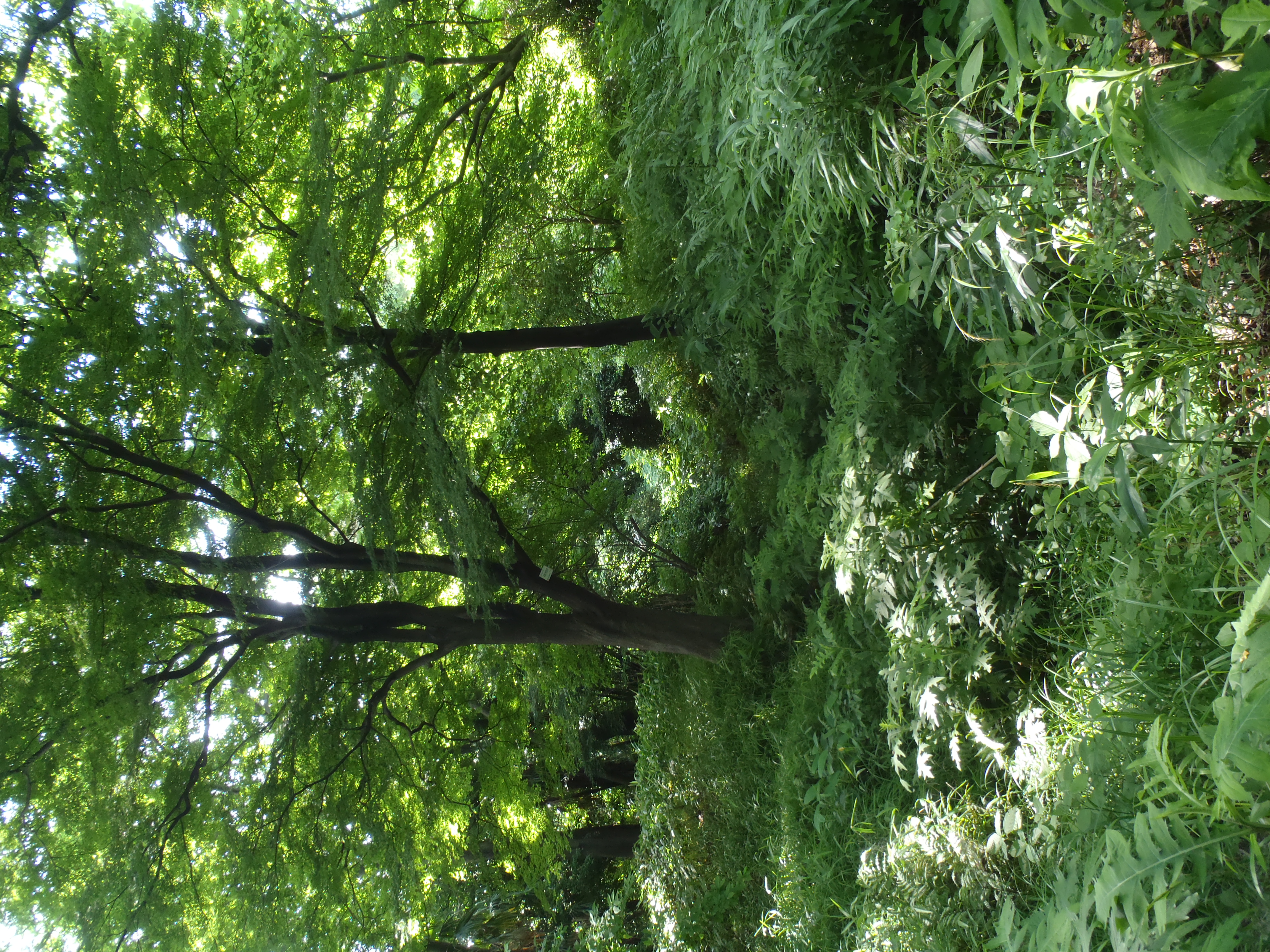 <b>μTOUGH-8010 / ISO100</b>