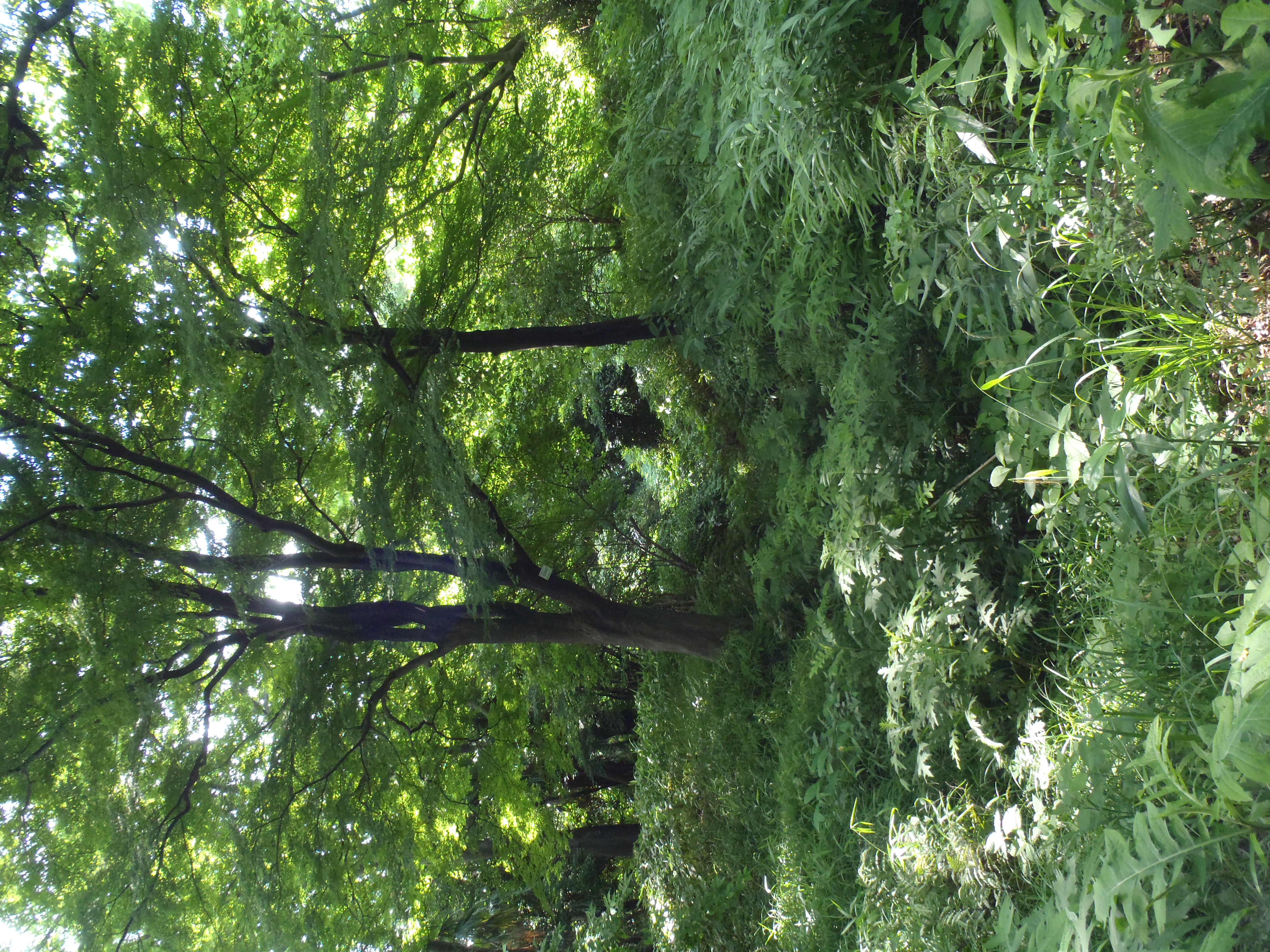 <b>μTOUGH-8010 / ISO200</b>