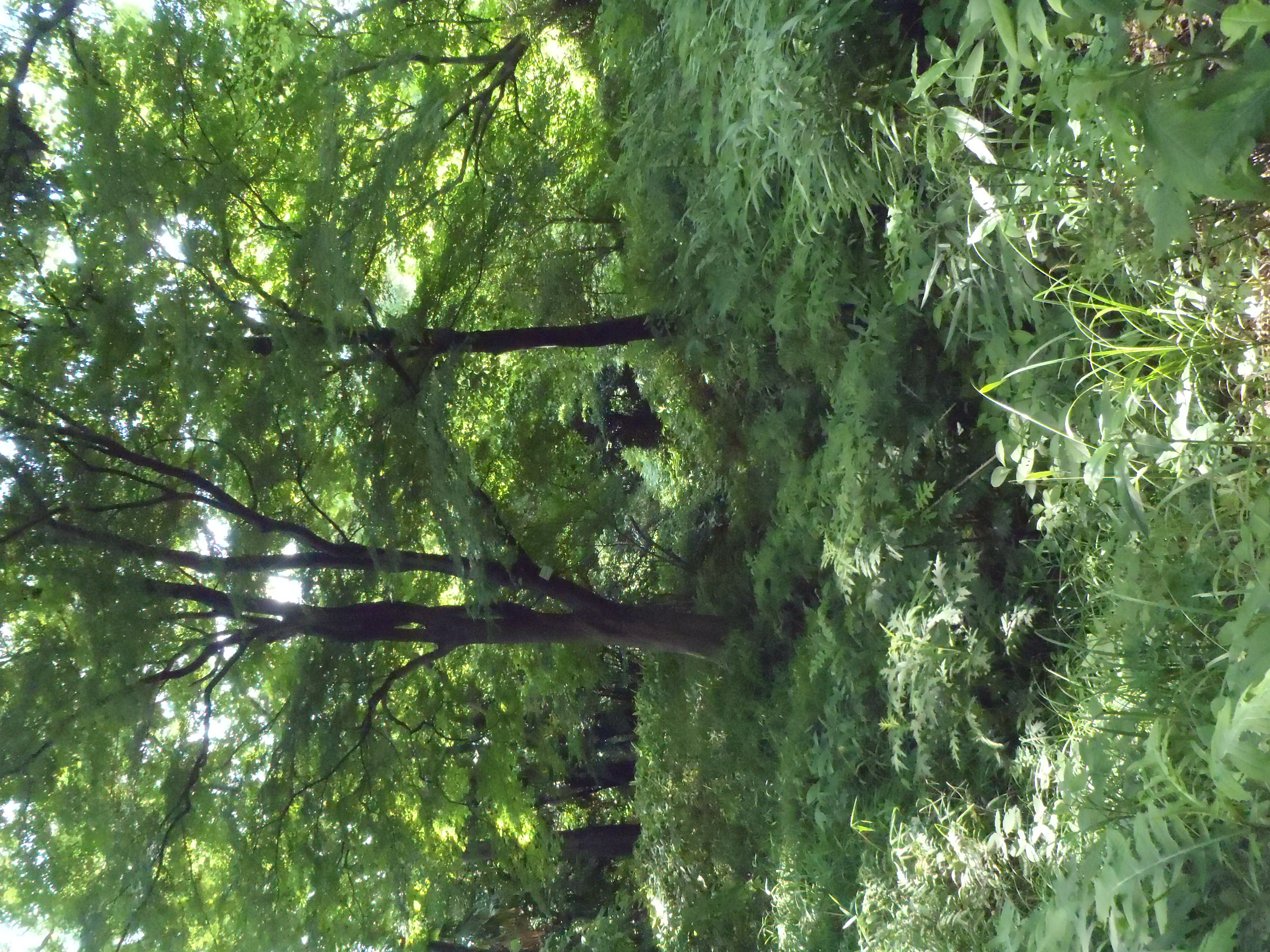 <b>μTOUGH-8010 / ISO800</b>