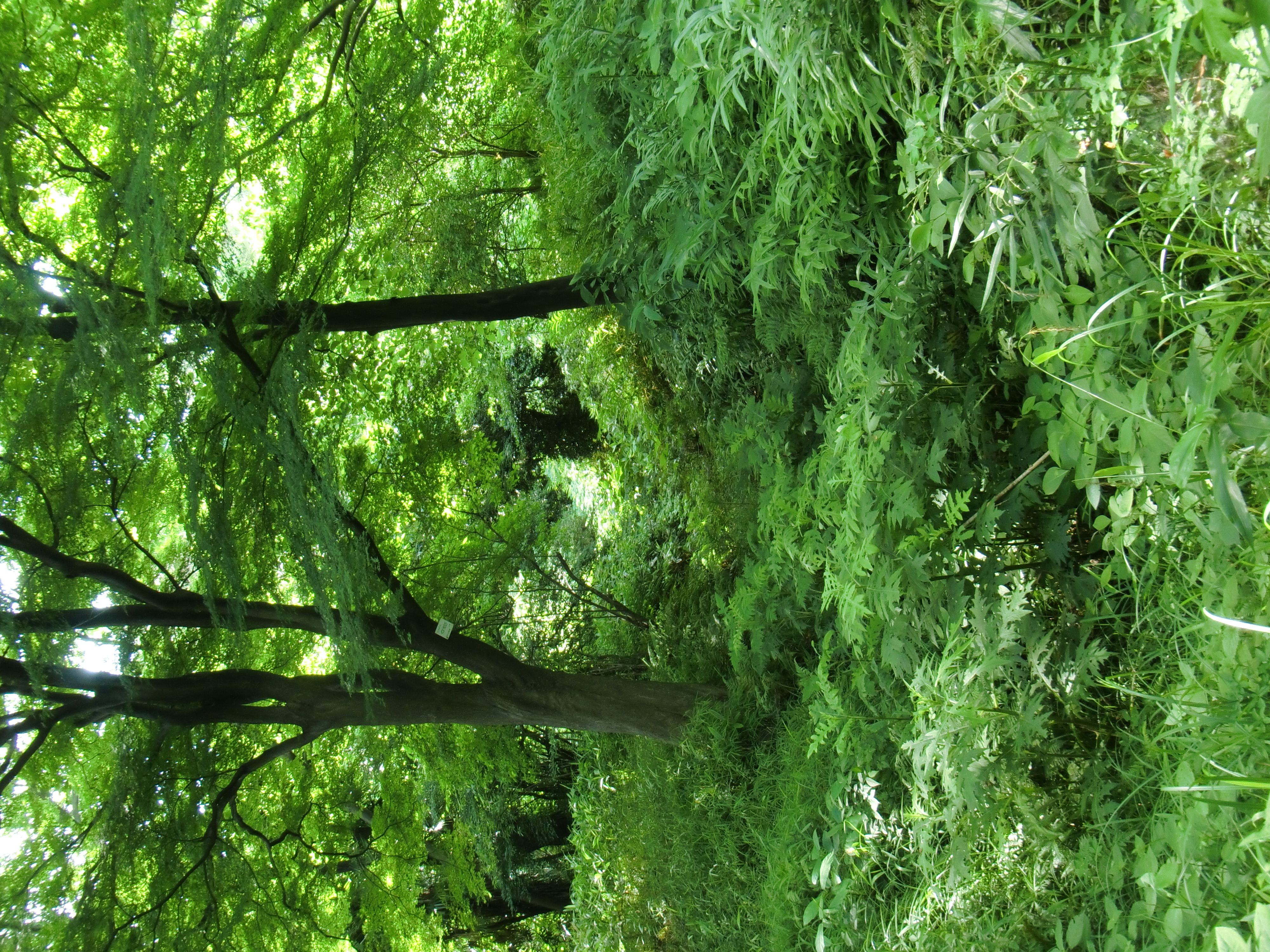 <b>EX-G1 / ISO100</b>