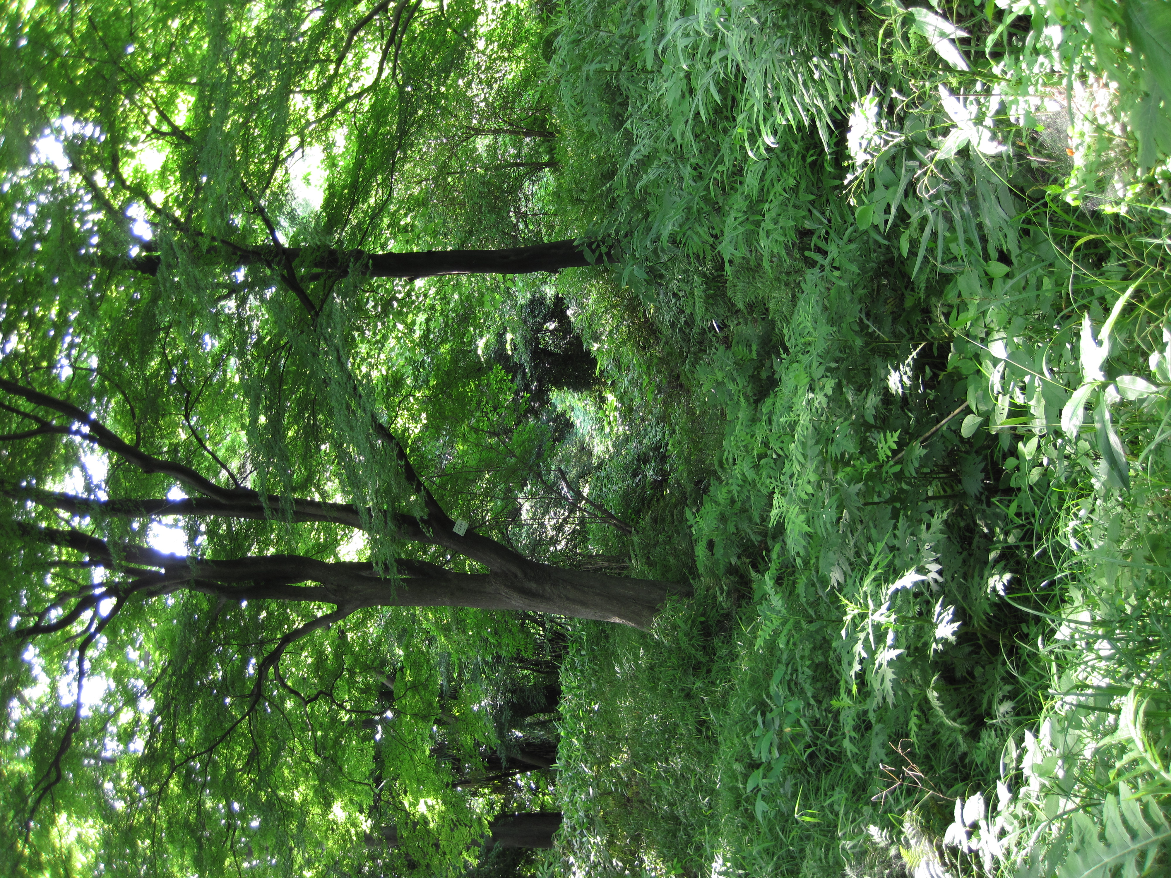 <b>PowerShot D10 / ISO80</b>