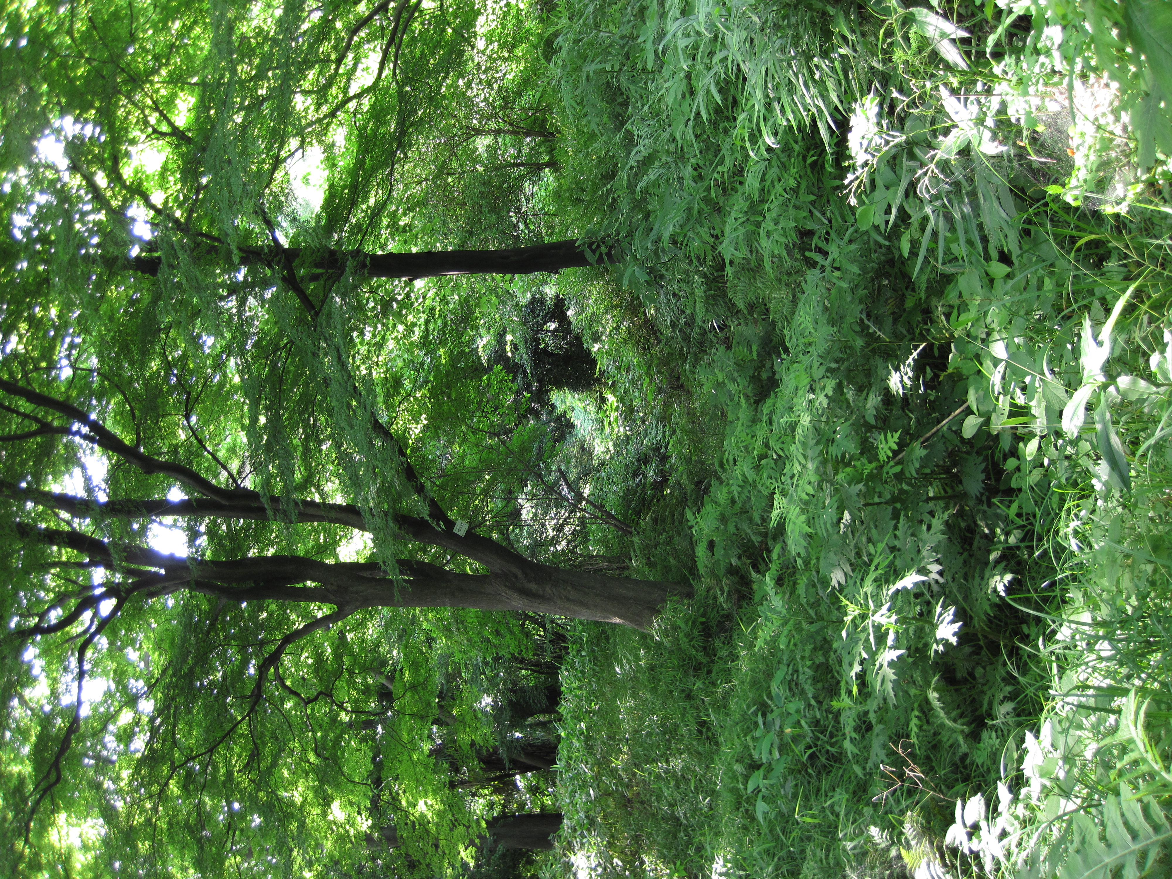 <b>PowerShot D10 / ISO100</b>