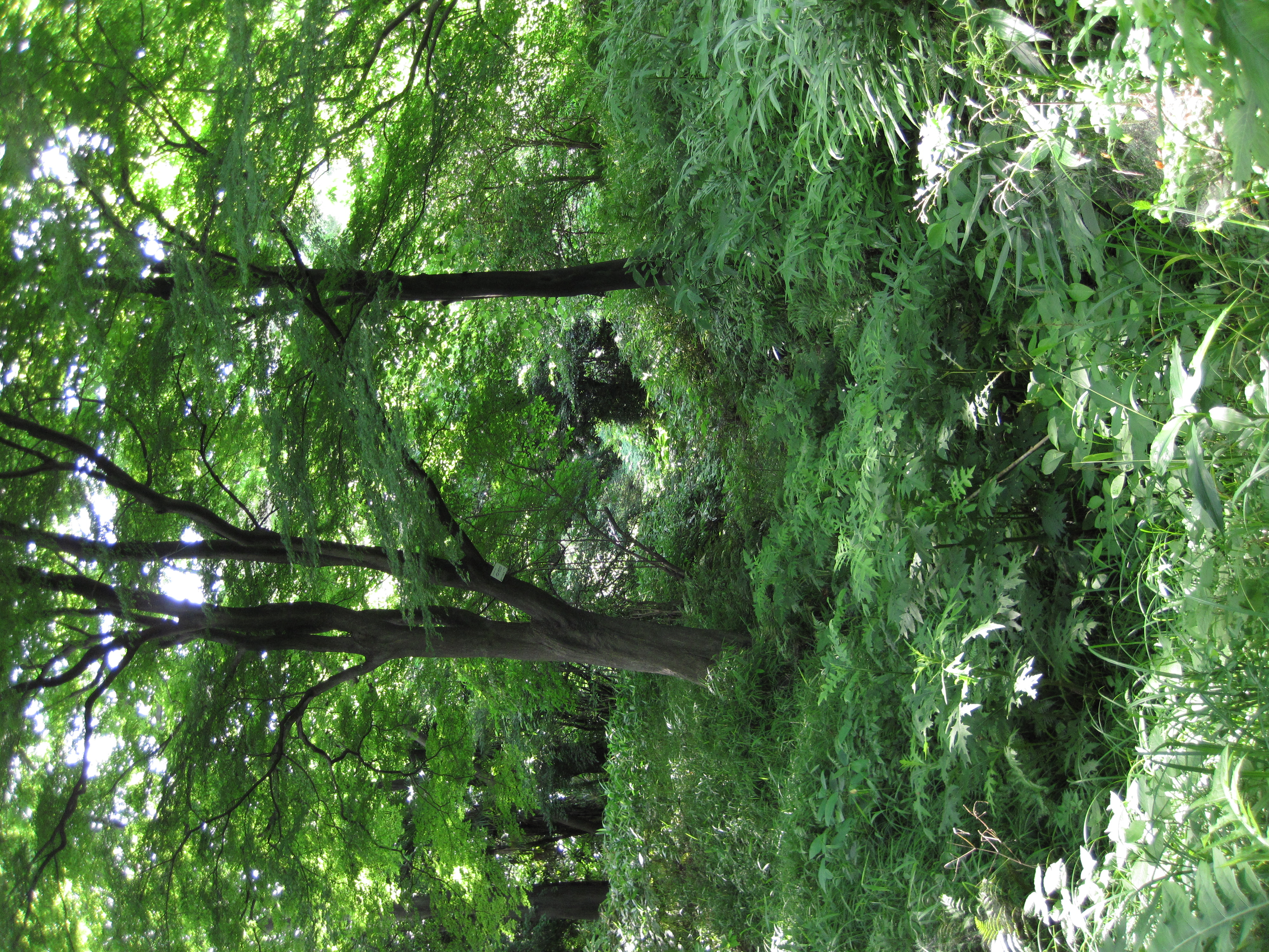 <b>PowerShot D10 / ISO200</b>