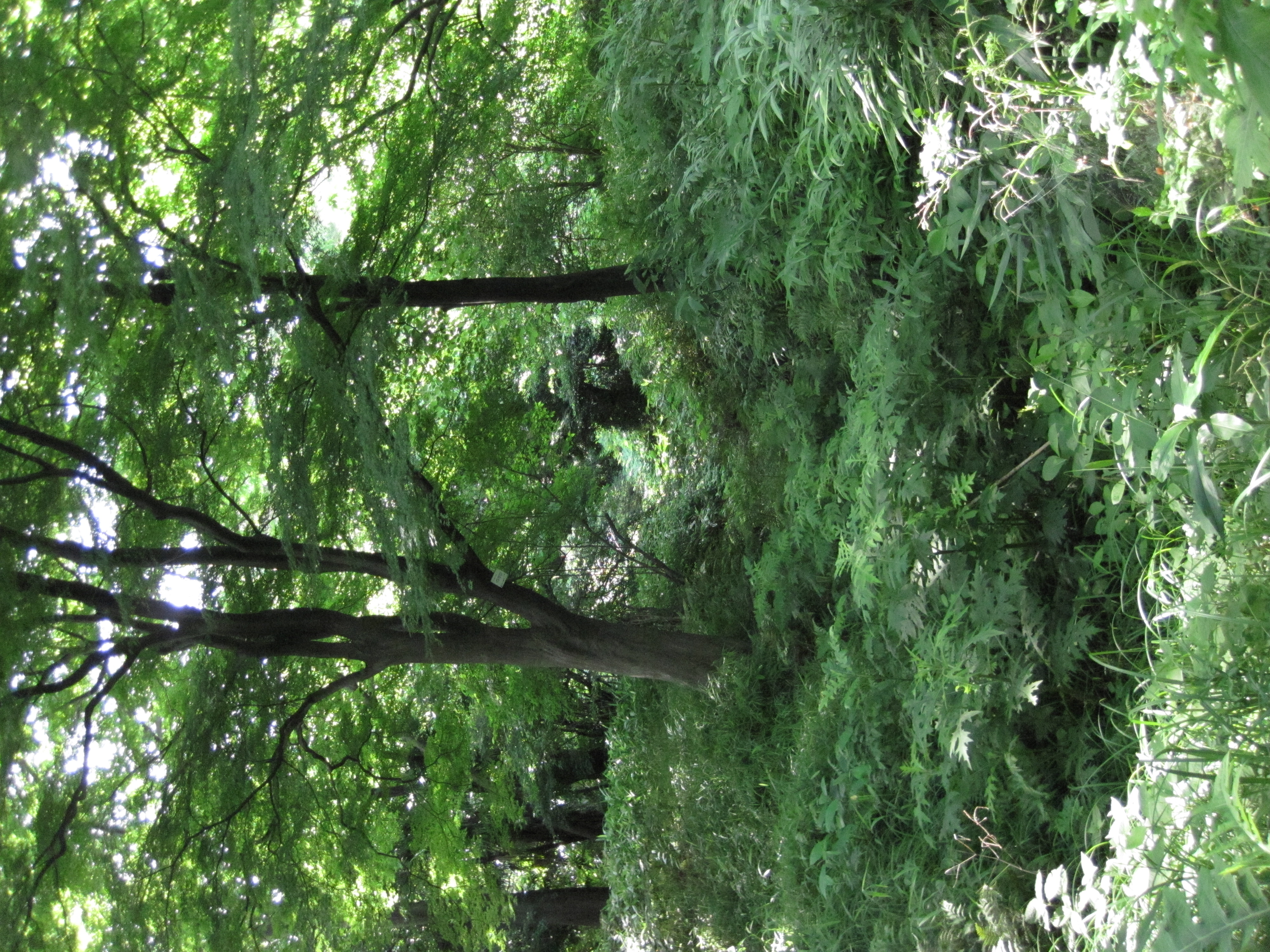 <b>PowerShot D10 / ISO800</b>