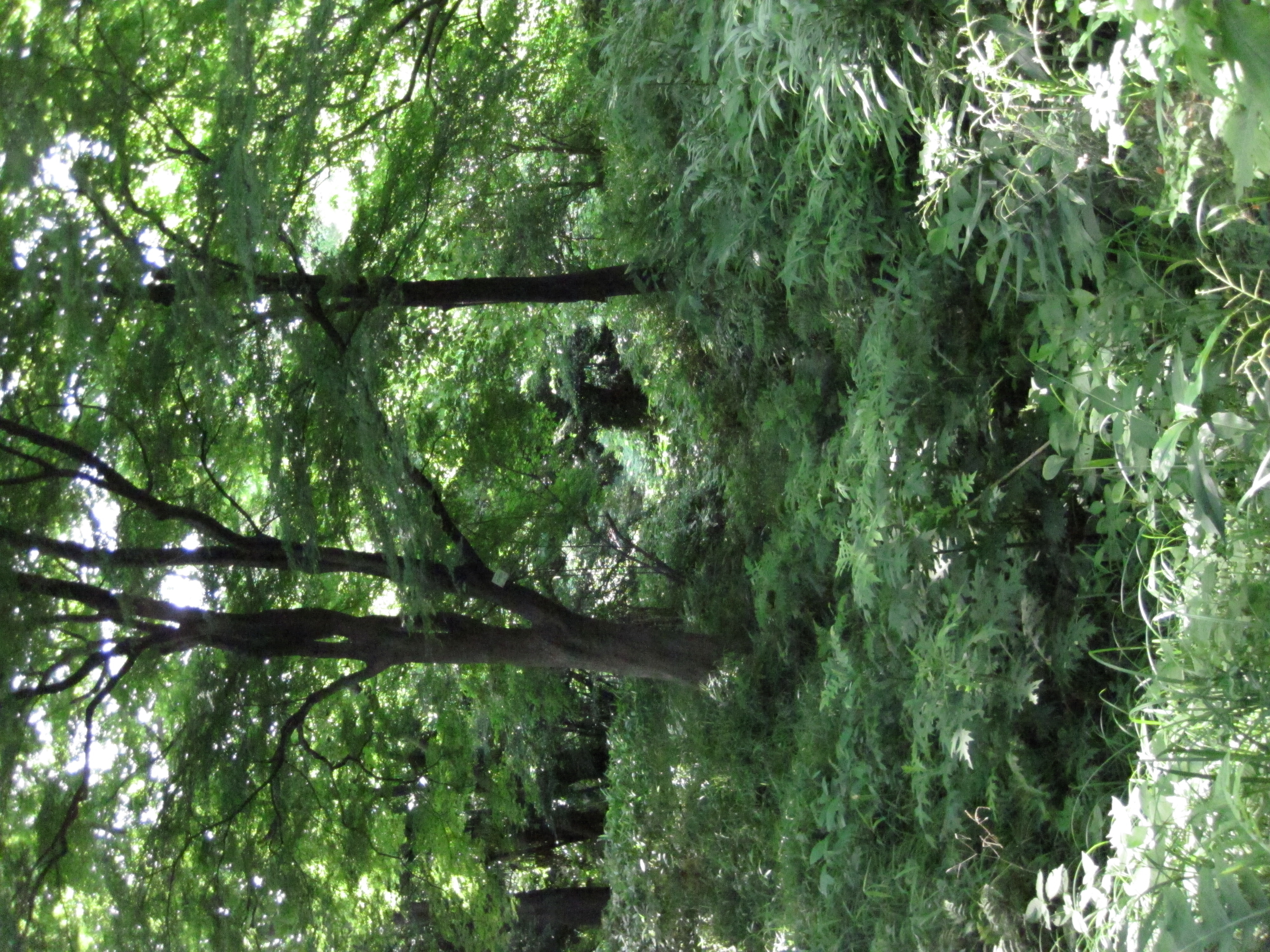 <b>PowerShot D10 / ISO1600</b>