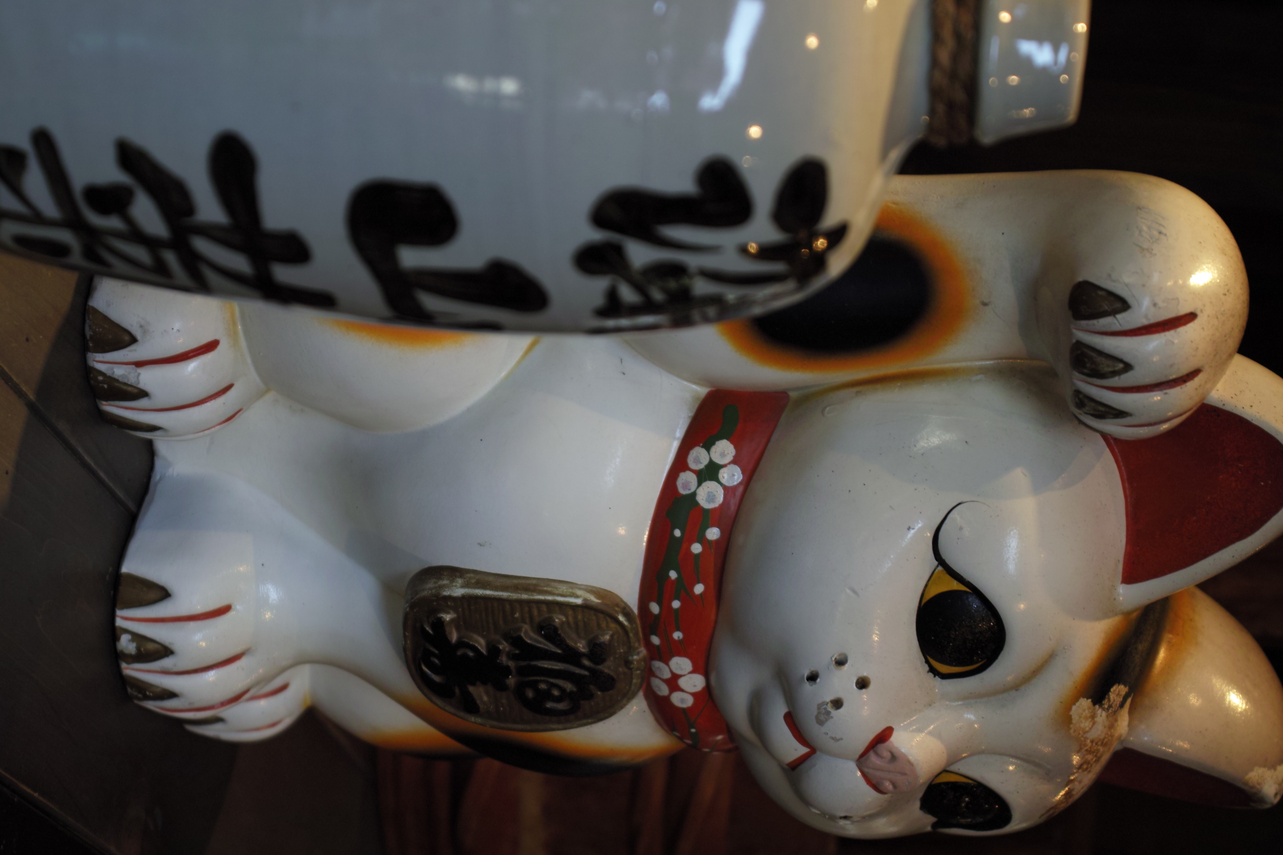 <b>SD15 / 18-50mm F2.8-4.5 DC OS HSM / 約2.4MB / 2,640×1,760 / 1/25秒 / F4.5 / -1EV / ISO100 / 50mm</b>