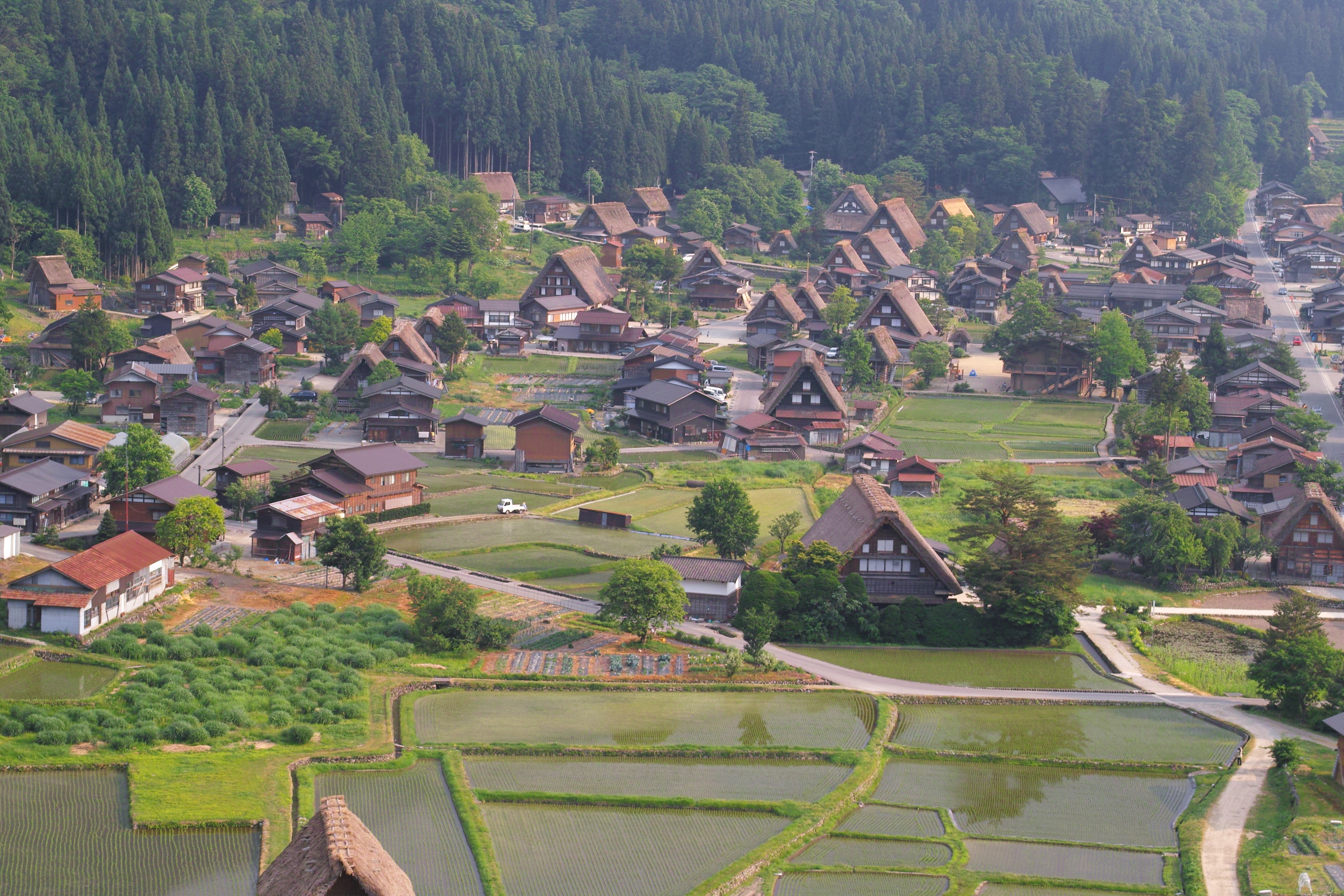 <b>SD15 / 18-50mm F2.8-4.5 DC OS HSM / 約2.5MB / 2,640×1,760 / 1/125秒 / F8 / -0.7EV / ISO100 / 50mm</b>