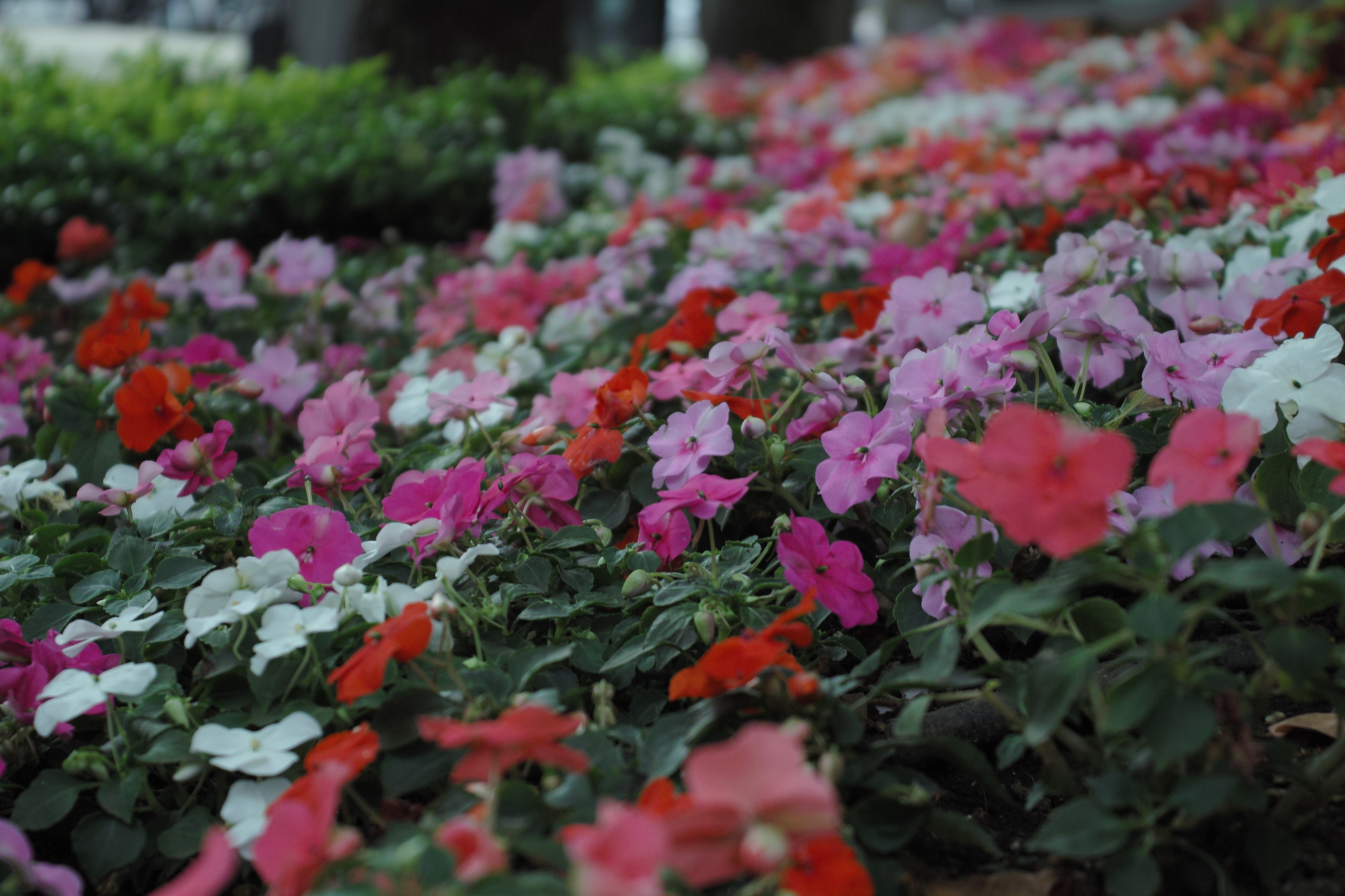 <b>ニュートラル</b>