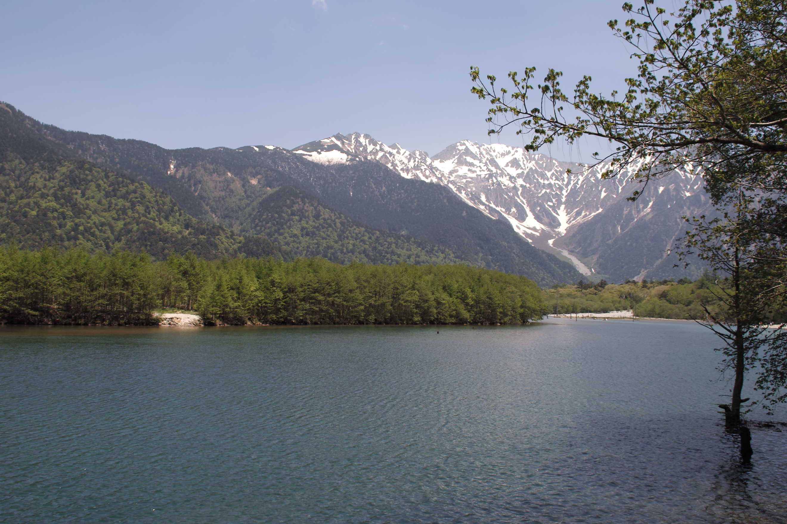 <b>スタンダード</b>