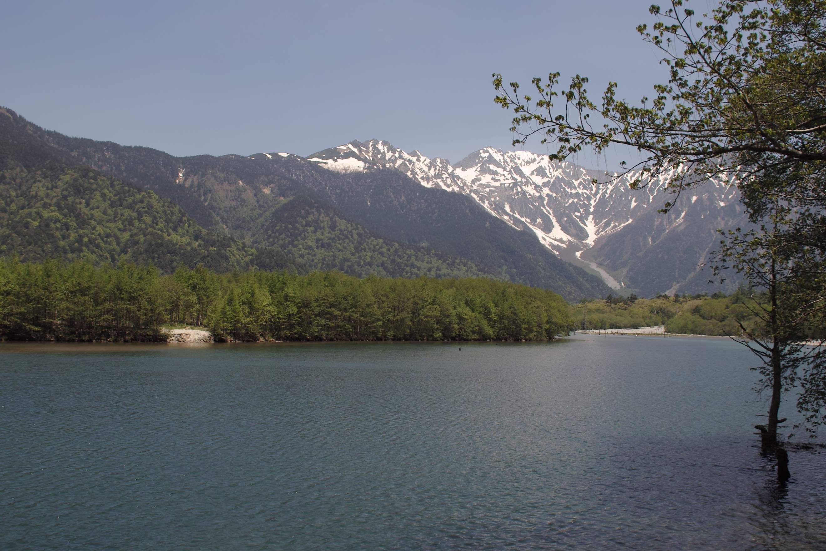 <b>ニュートラル</b>