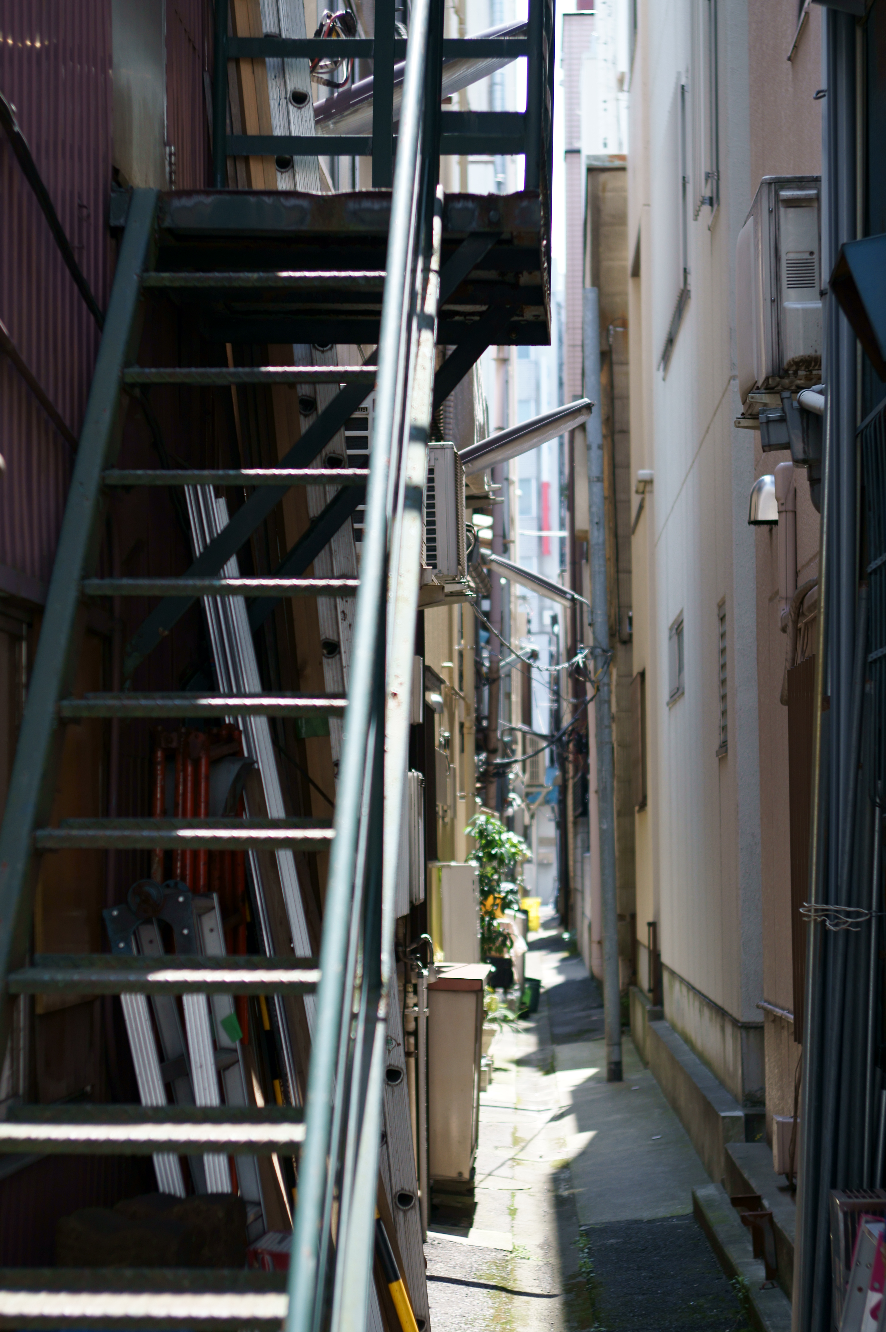 <b>NEX-5 / ヘリアー50mm F2 / 4,592×3,056 / 1/640秒 / F2 / 0EV / ISO200 / WB:オート / 50mm</b>