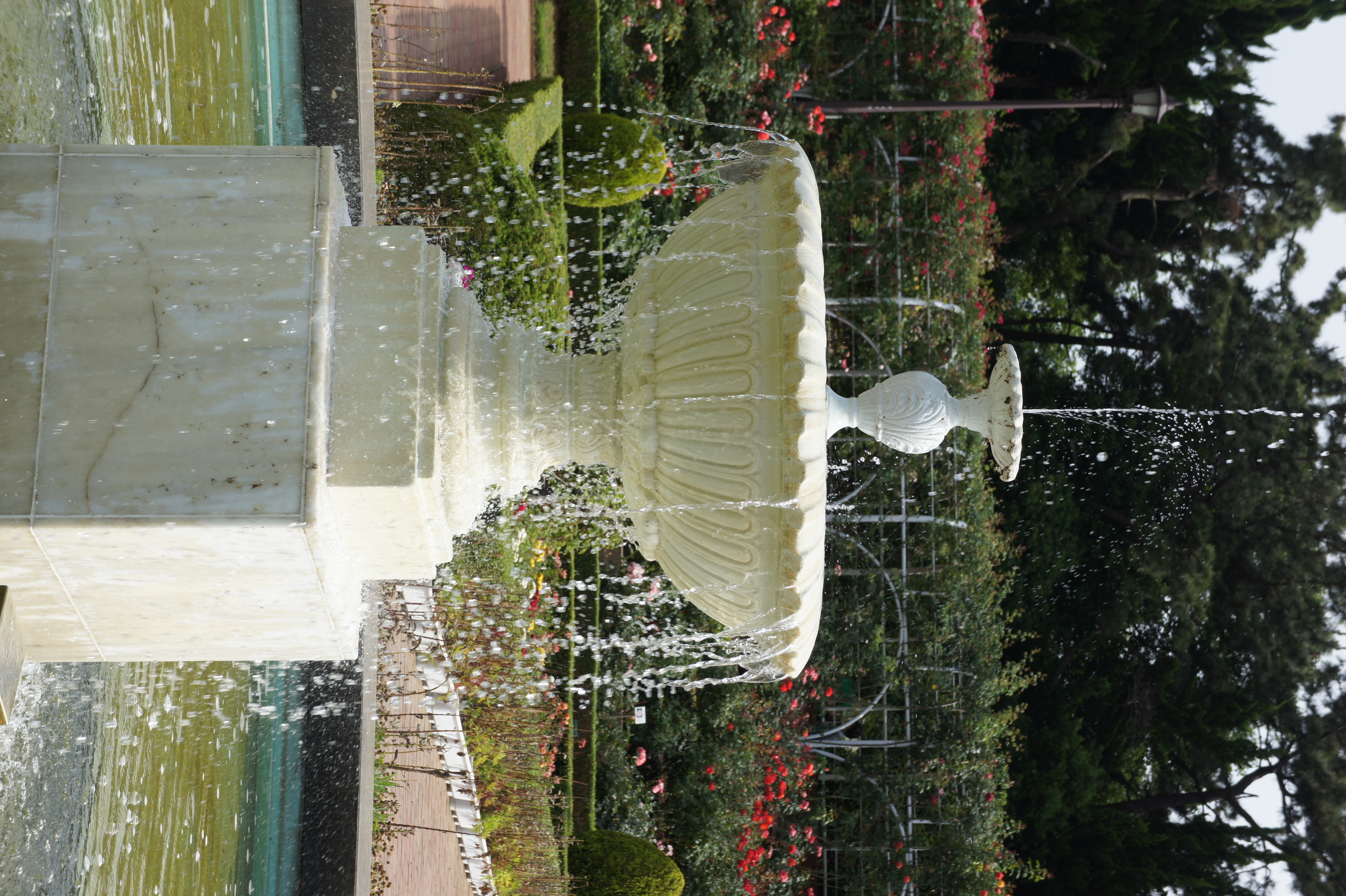 <b>こういう被写体を撮影するだけなら、NEX-5のコントラストAFで問題ない<br>NEX-5 / E 18-55mm F3.5-5.6 OSS / 約5.7MB / 3056x4592 / 1/320秒 / F9 / 0EV / ISO200 / WB:オート / 54mm</b>