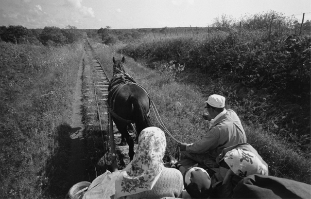 <b>(c)広田尚敬</b>