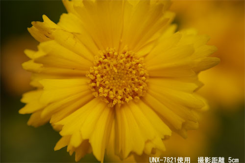 <b>クローズアップレンズの使用例。撮影距離5cm（左）、8cm（右）</b>