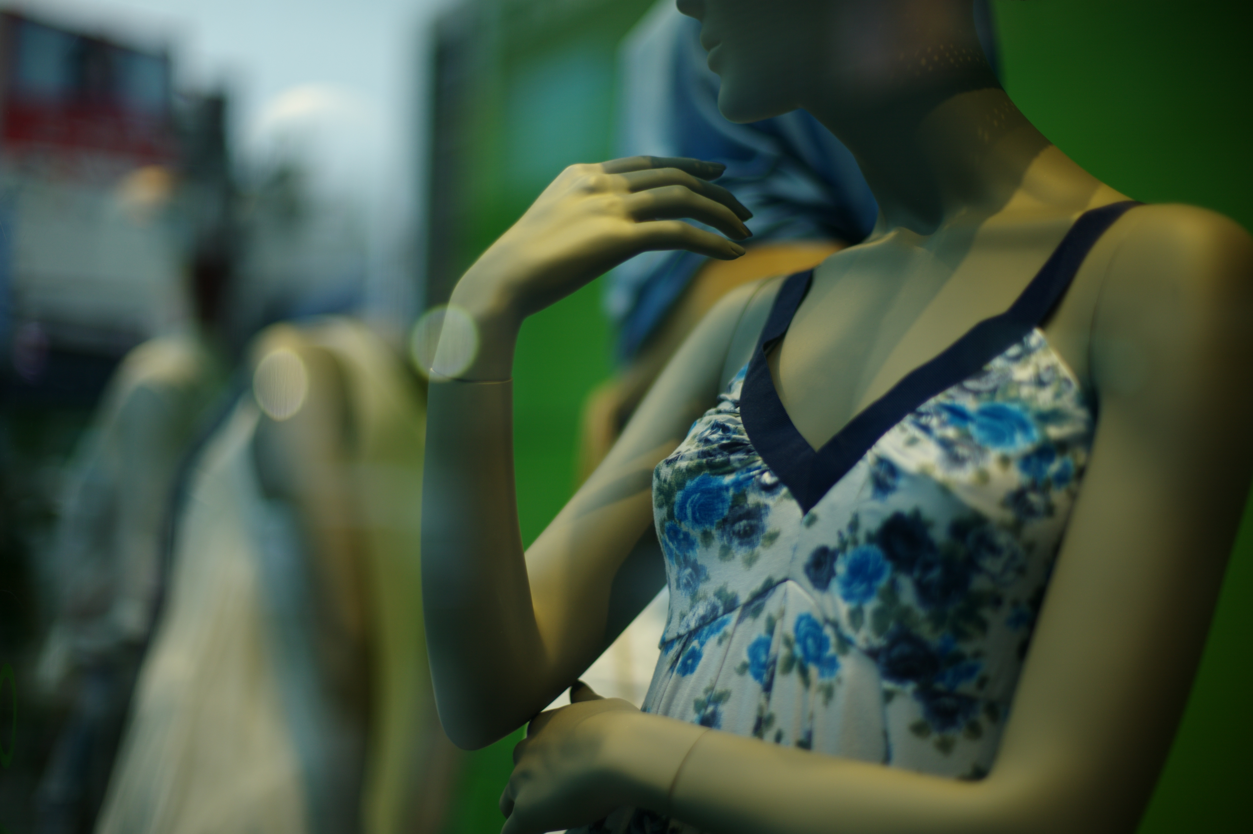 <b>M9 / ノクトン50mm F1.1 / 5,216×3,472 / 1/500秒 / F1.1 / －0.7EV / ISO160 / WB:オート</b>