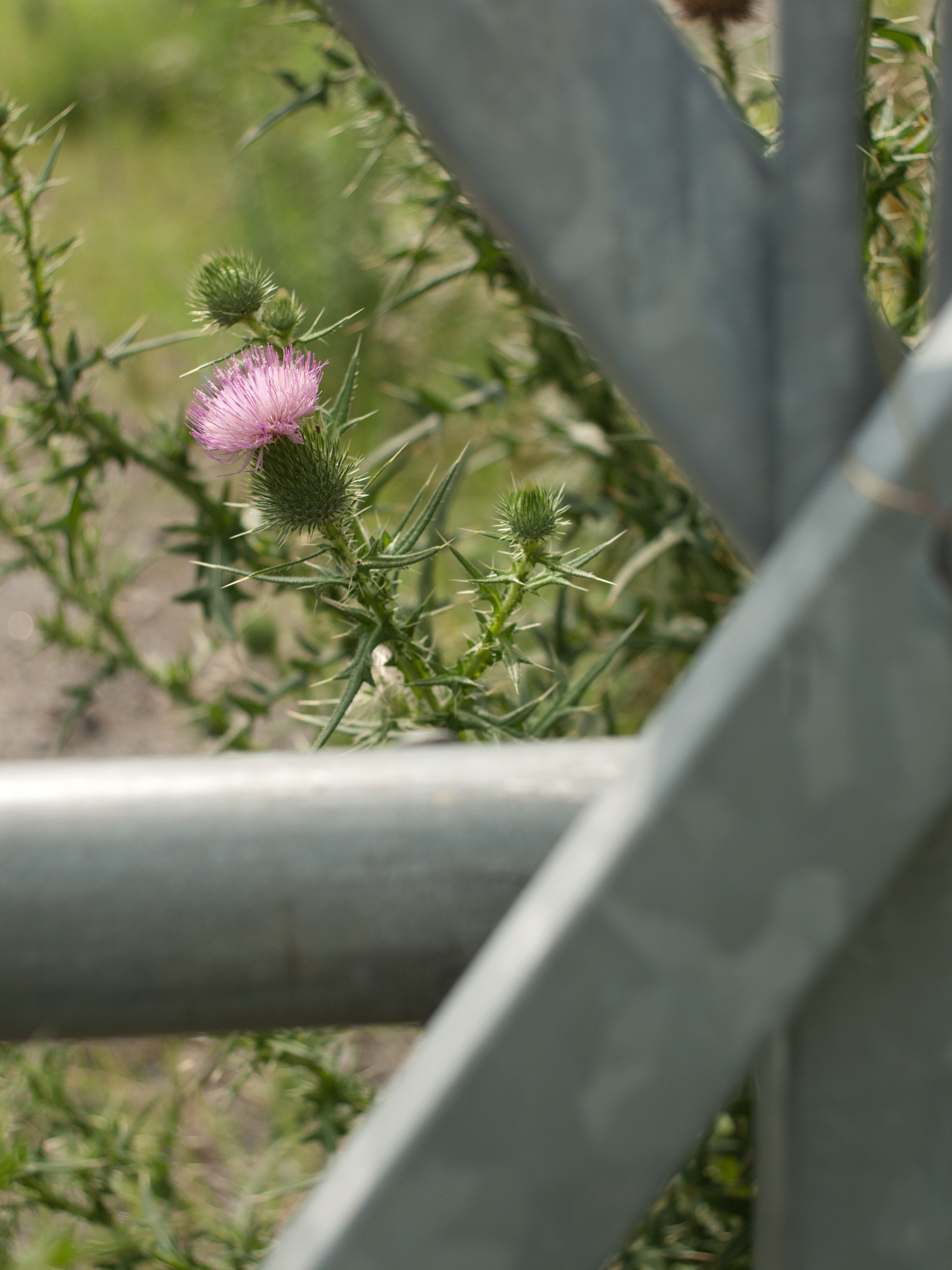 <b>DMC-GF1 / エルマリート-R 35mm F2.8 タイプI / 4,000×3,000 / 1/1,250秒 / F4 / 0EV / ISO200 / WB:オート / 35mm</b>