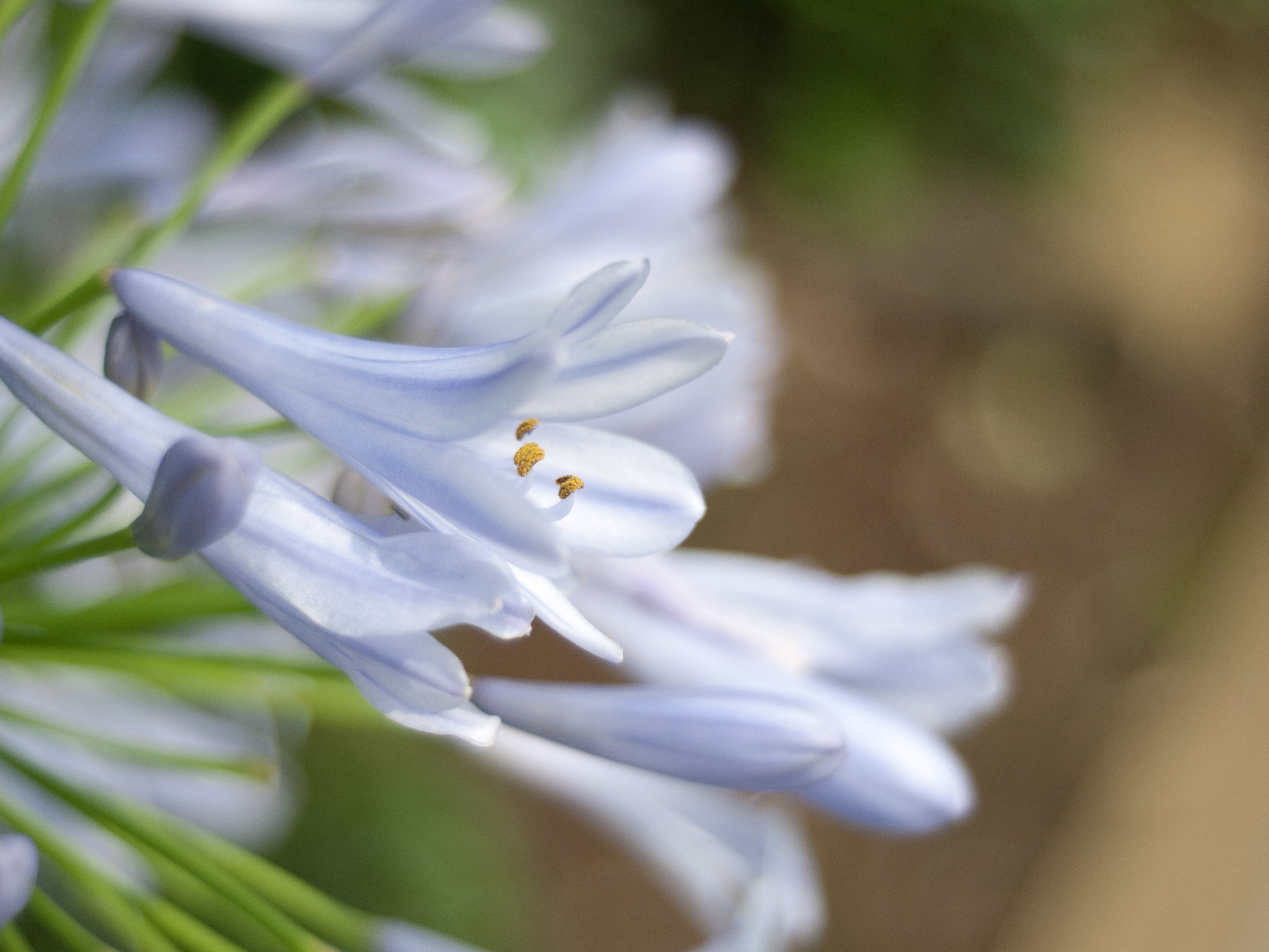 <b>DMC-GF1 / エルマリート-R 35mm F2.8 タイプI / 4,000×3,000 / 1/4,000秒 / F2.8 / 0EV / ISO200 / WB:オート / 35mm</b>