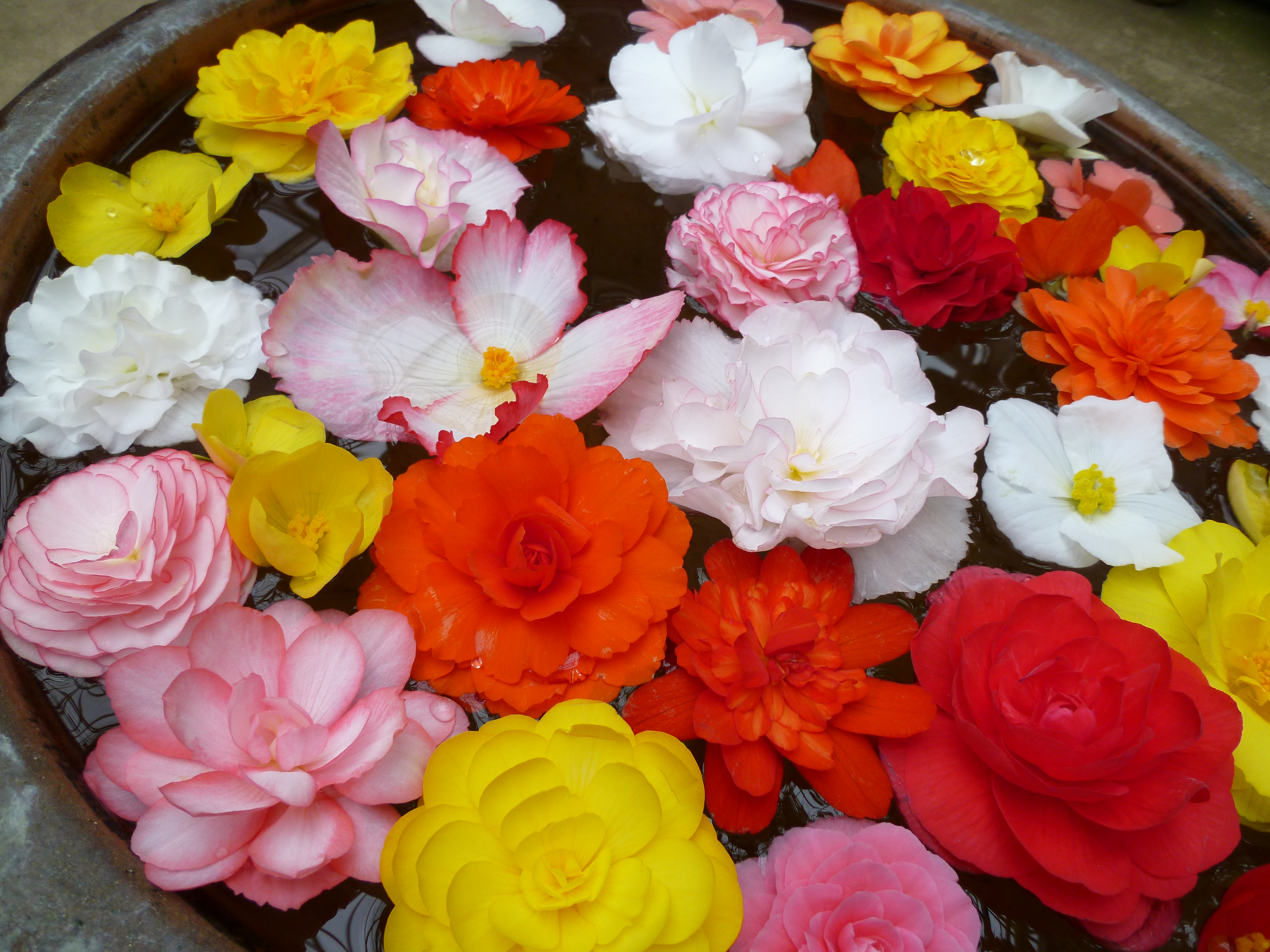 <b>標準<br>DMC-FX70 / 約5.5MB / 4,320×3,240 / 1/200秒 / F2.8 / 0EV / ISO80 / WB:オート / 4.3mm</b>