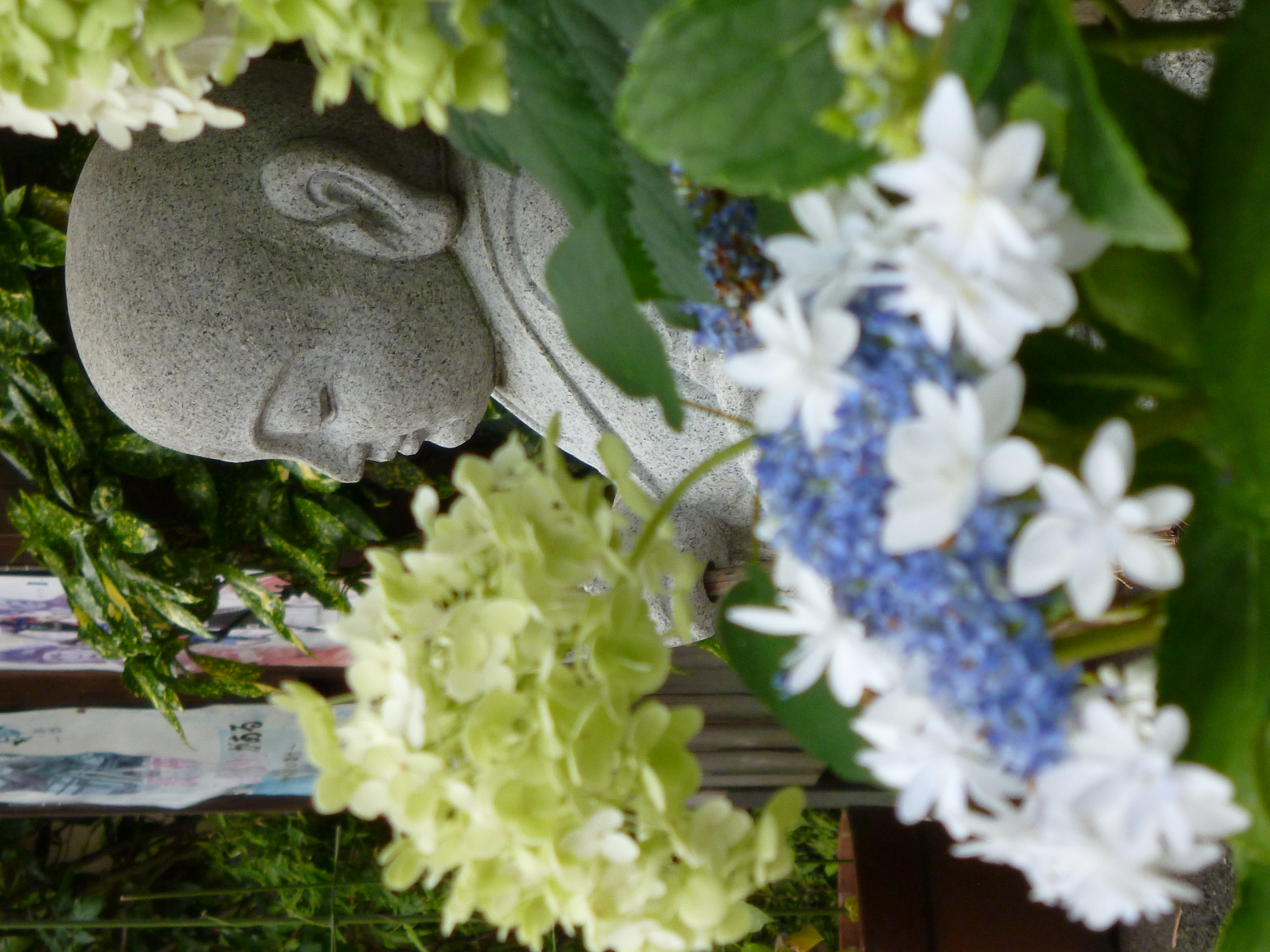 <b>DMC-FX70 / 約5.3MB / 3,240×4,320 / 1/125秒 / F5.9 / 0EV / ISO160 / WB:オート / 21.5mm</b>