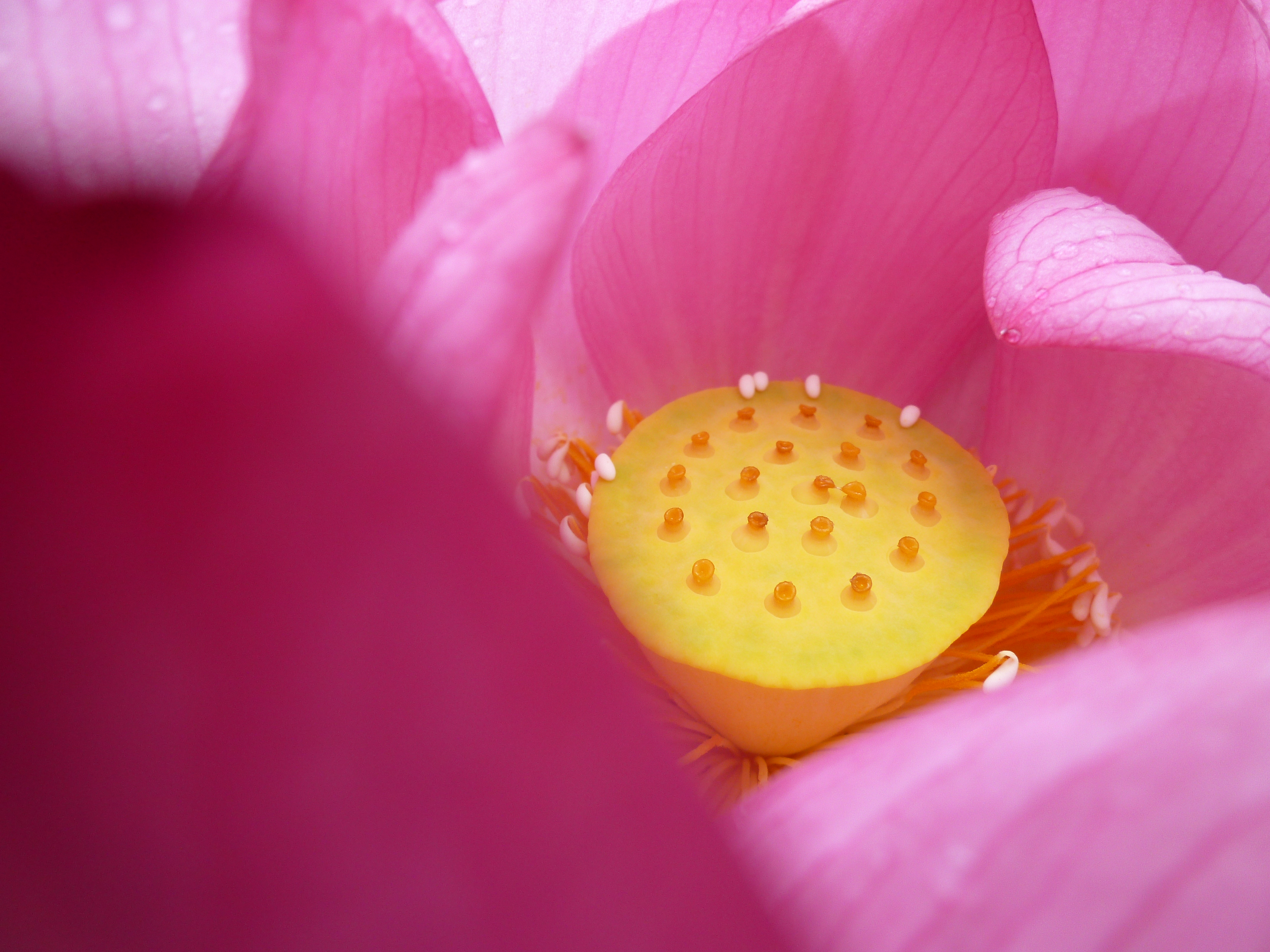 <b>DMC-FX70 / 約5.2MB / 4,320×3,240 / 1/200秒 / F4 / 0EV / ISO80 / WB:オート / 4.3mm</b>