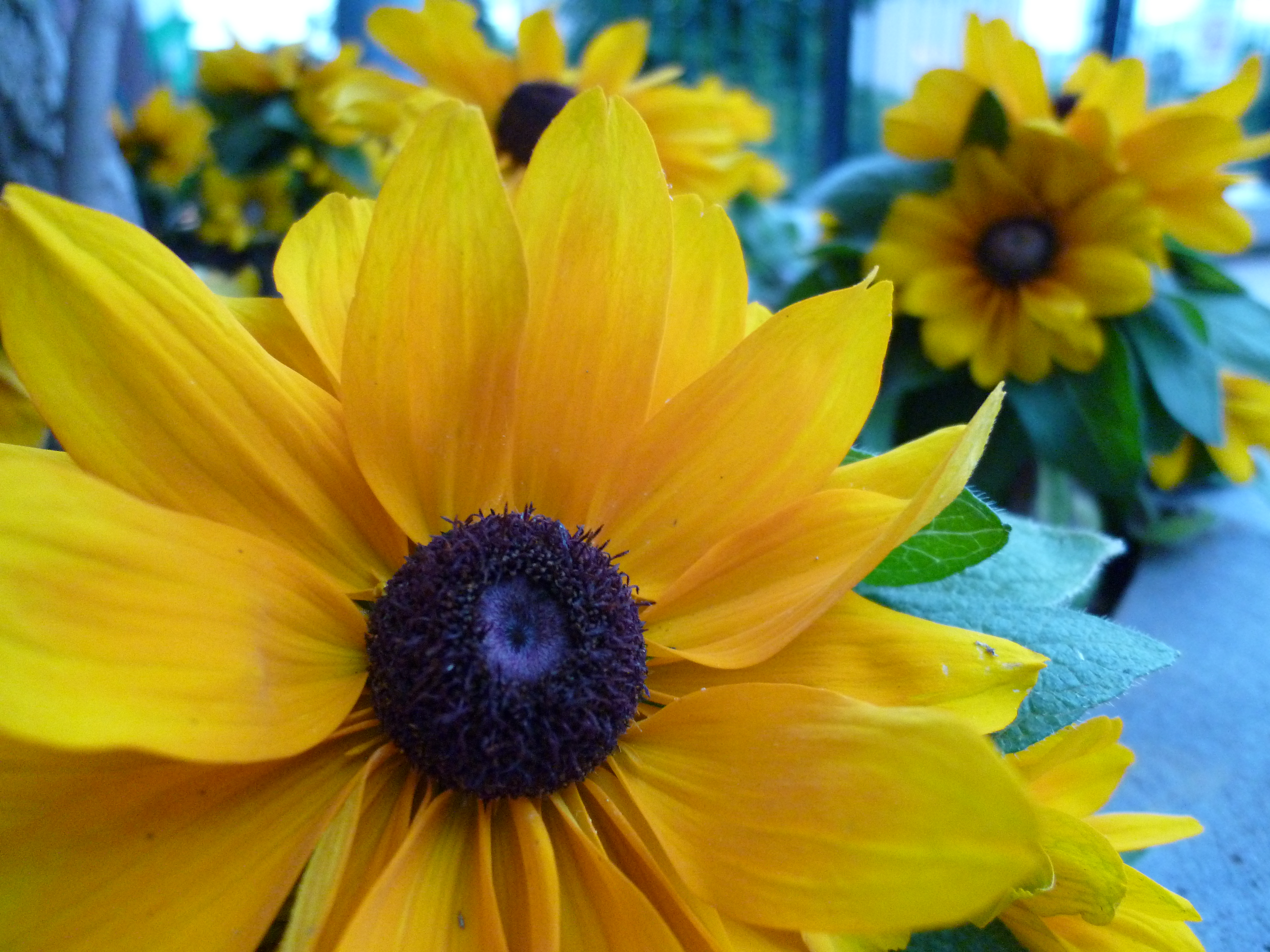 <b>DMC-FX70 / 約5.6MB / 4,320×3,240 / 1/25秒 / F2.2 / 0EV / ISO400 / WB:オート / 4.3mm</b>