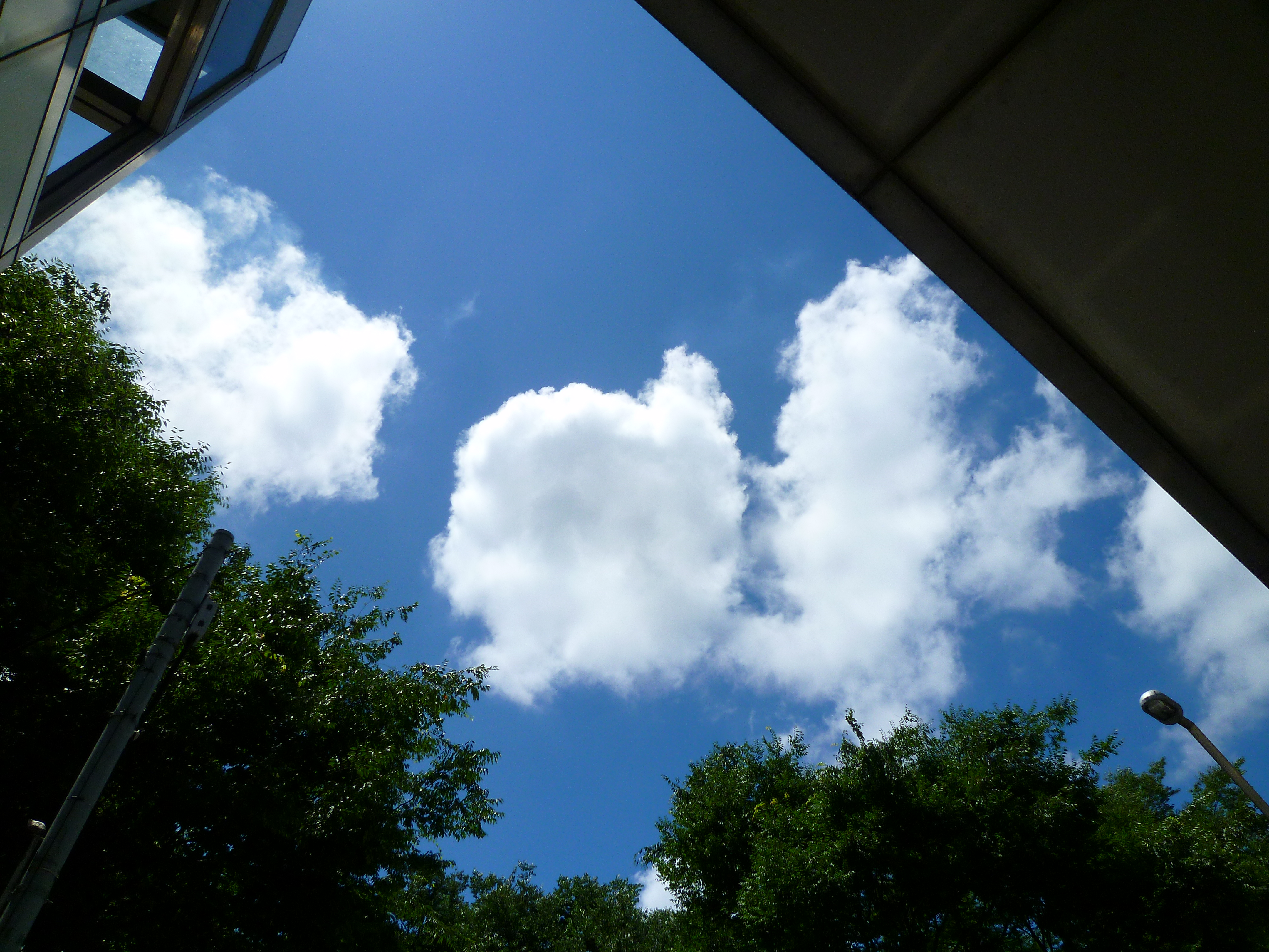 <b>DMC-FX70 / 約4.5MB / 4,320×3,240 / 1/800秒 / F5.6 / +0.3EV / ISO80 / WB:オート / 4.3mm（カラーモード：ヴィヴィッド）</b>