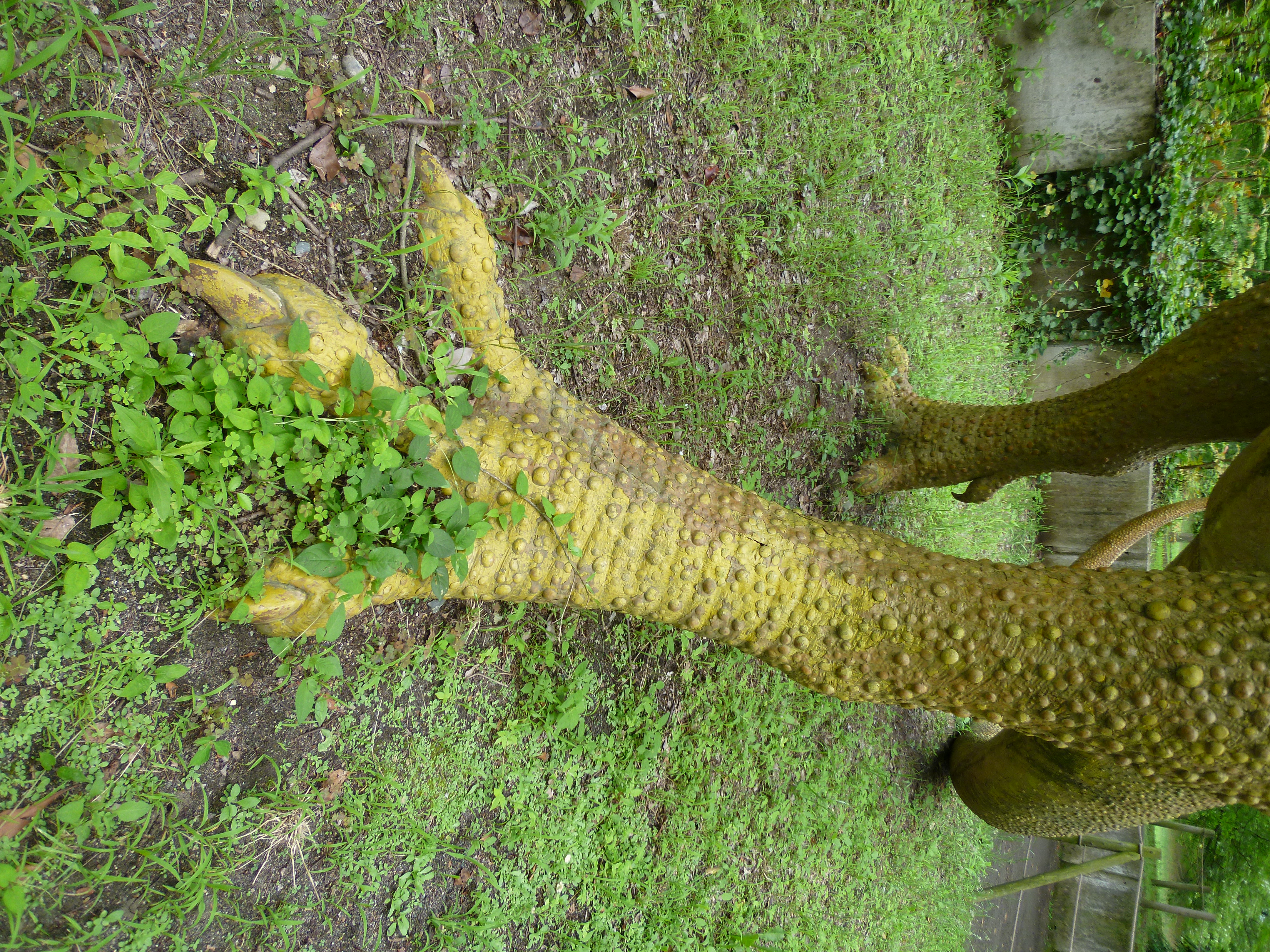 <b>DMC-FX70 / 約5.6MB / 3,240×4,320 / 1/125秒 / F2.2 / 0EV / ISO80 / WB:オート / 4.3mm</b>