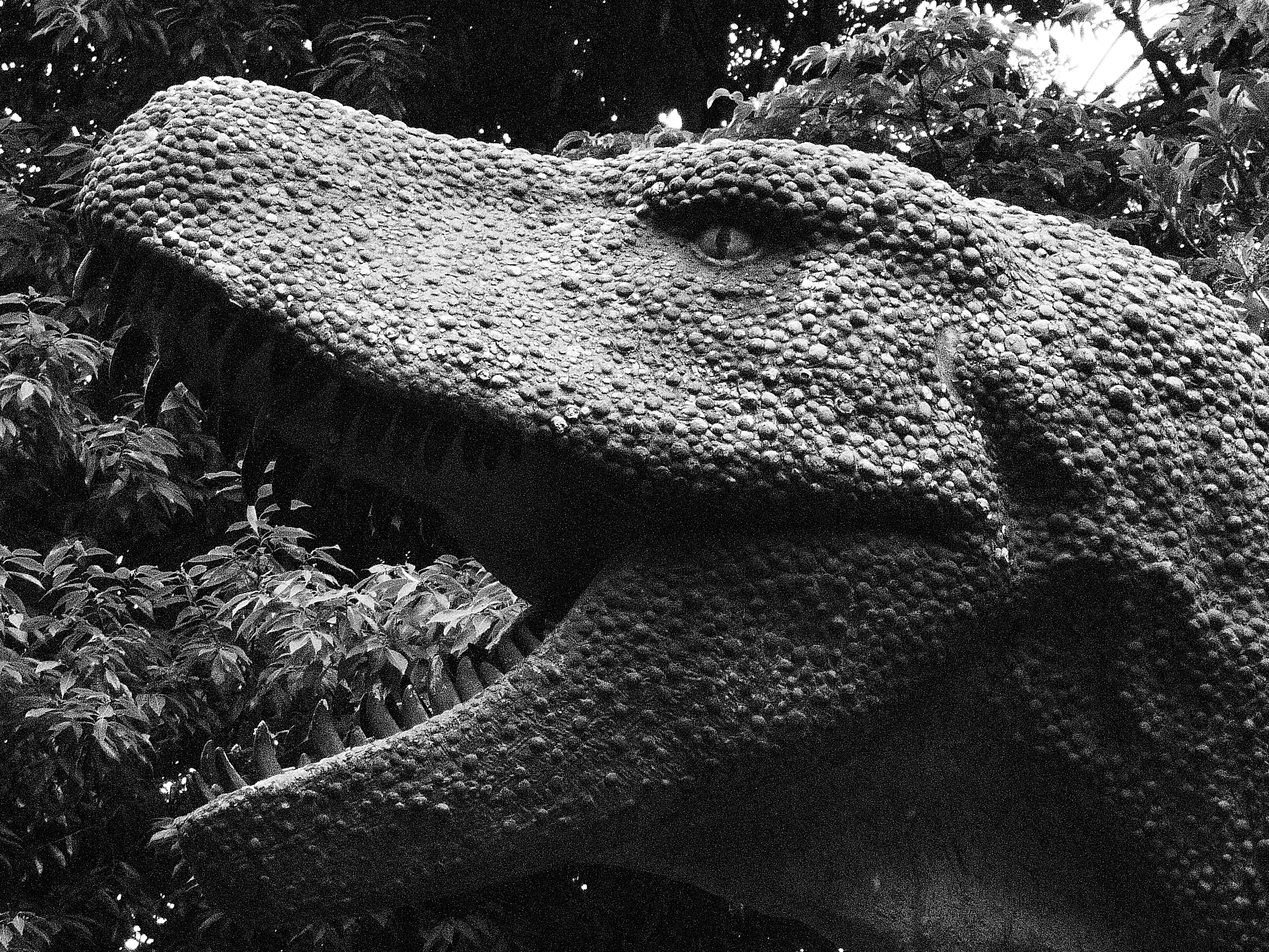 <b>DMC-FX70 / 約5.4MB / 4,320×3,240 / 1/320秒 / F5.9 / 0EV / ISO1600 / WB:オート / 21.5mm（シーンモード：サンドブラスト）</b>