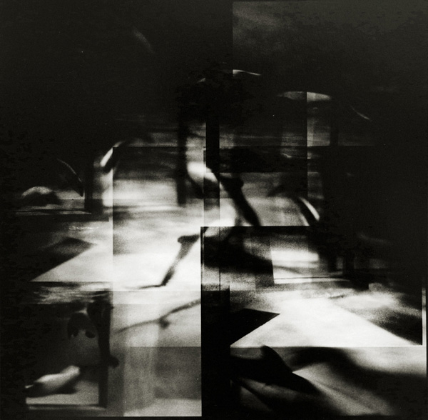 <b>イルカ (c)大和田良</b>