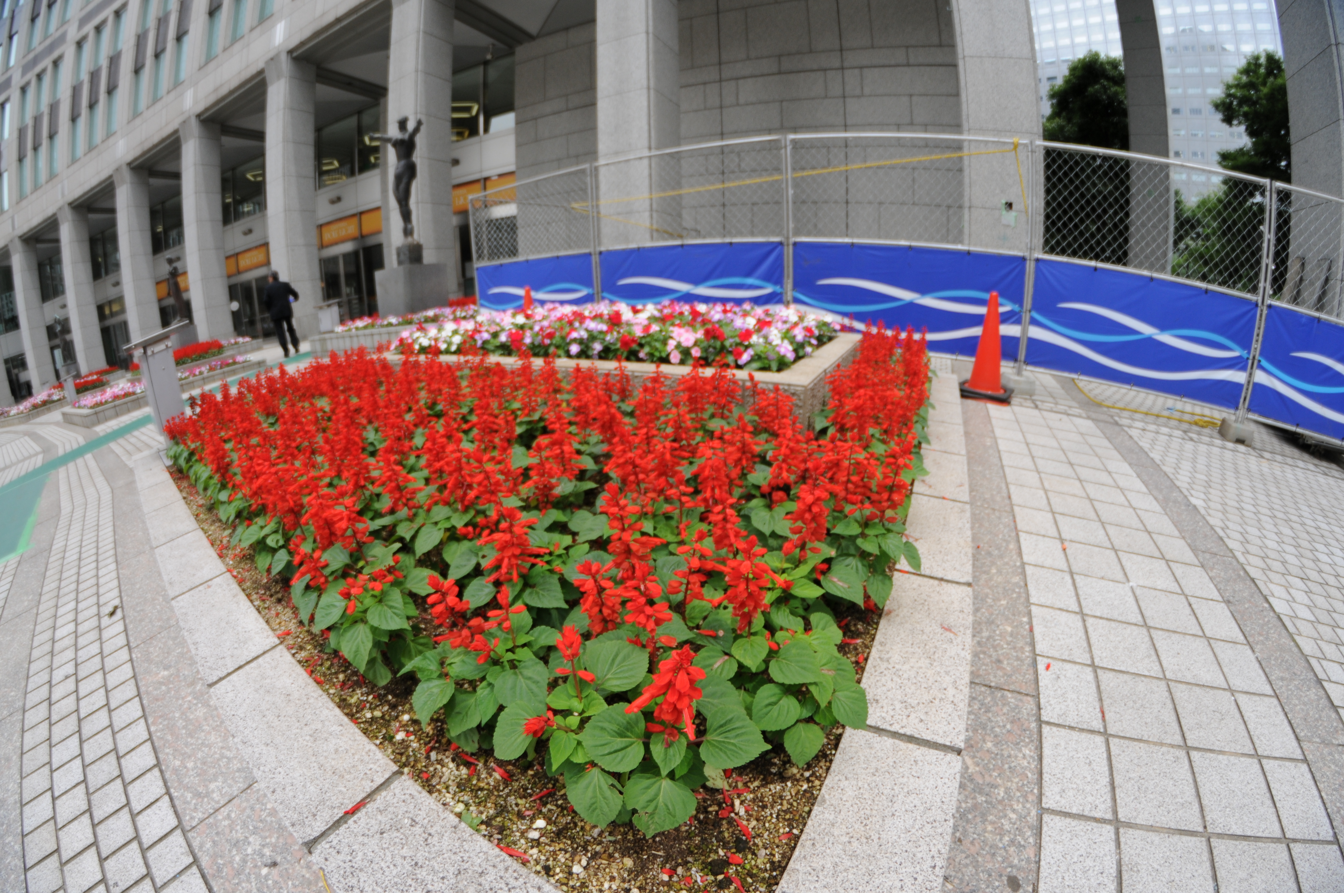 <b>D300 / 8mm F3.5 Fisheye CS / 4,288×2,848 / 1/640秒 / F3.5 / 0EV / ISO200 / 絞り優先AE / WB:オート / 8mm</b>