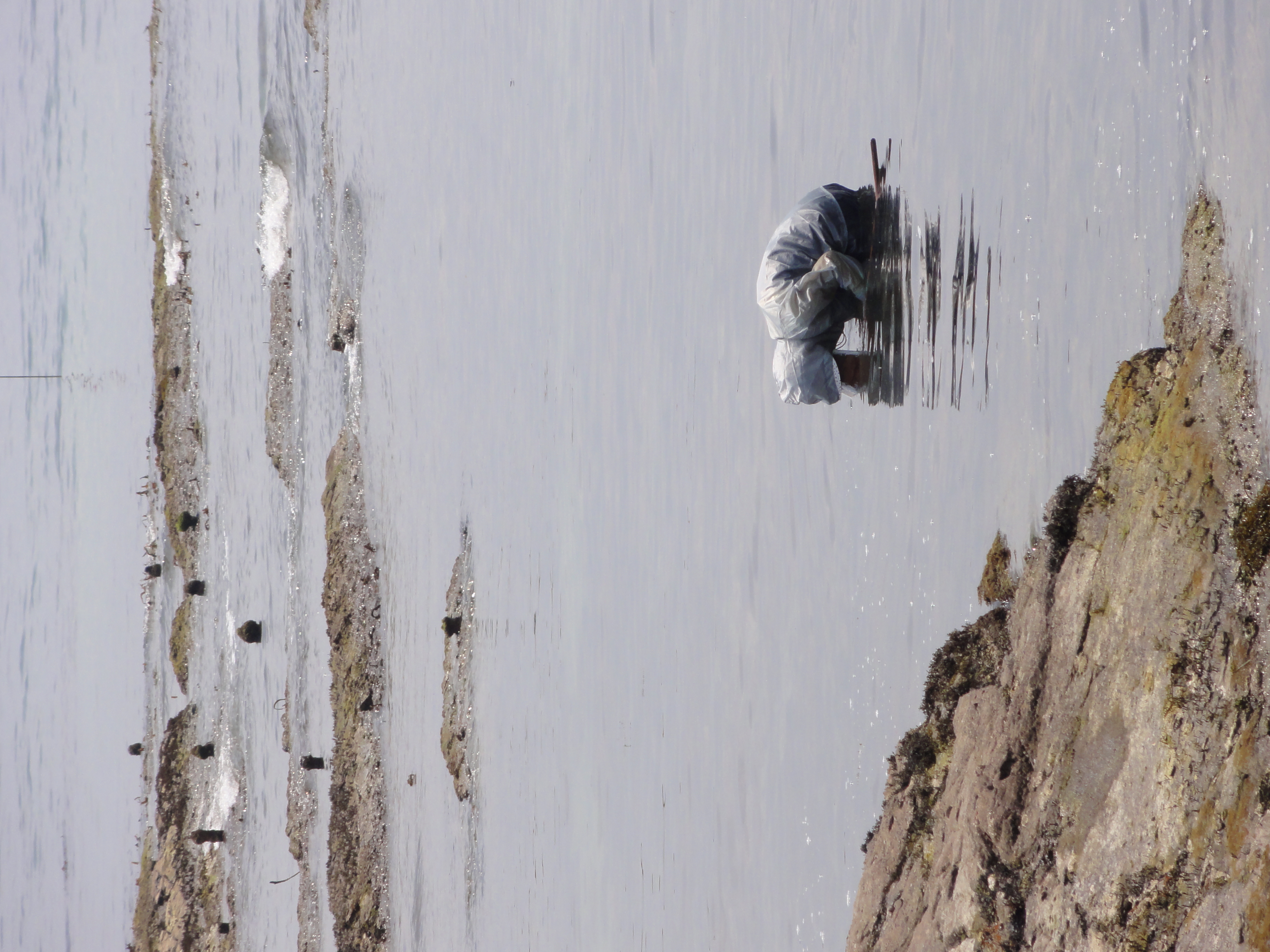 <b>DSC-HX5V / 約3.7MB / 2,736×3,648 / 1/1,000秒 / F5.5 / 0EV / ISO125 / WB:オート / 42.5mm</b>