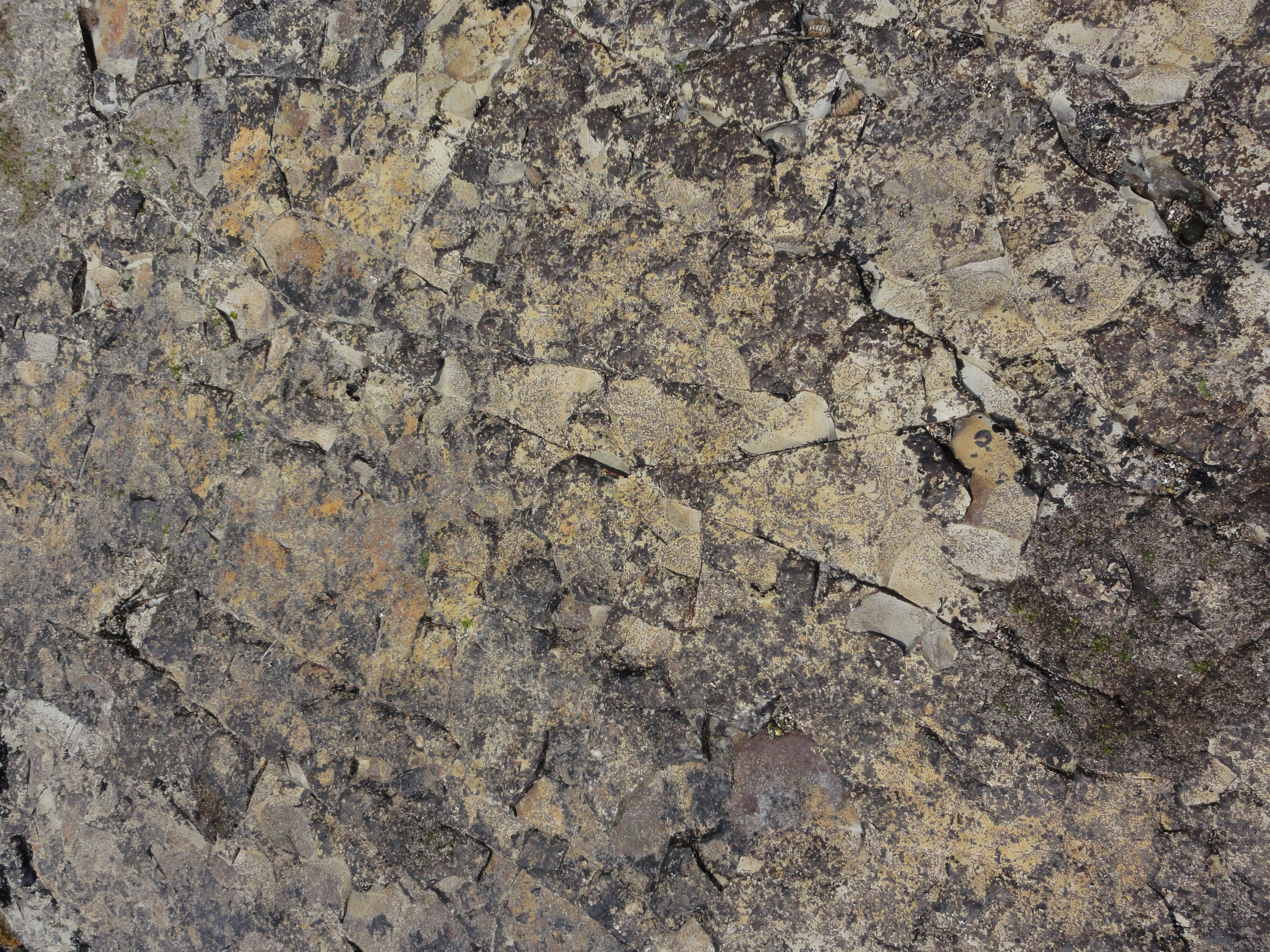 <b>足元の岩場の模様が気になって撮影<br>DSC-HX5V / 約4.3MB / 3,648×2,736 / 1/400秒 / F9 / -0.7EV / ISO125 / WB:オート / 6.6mm</b>