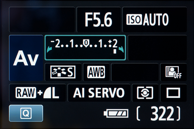 <b>露出補正中の画面。プラス2EV補正の状態</b>