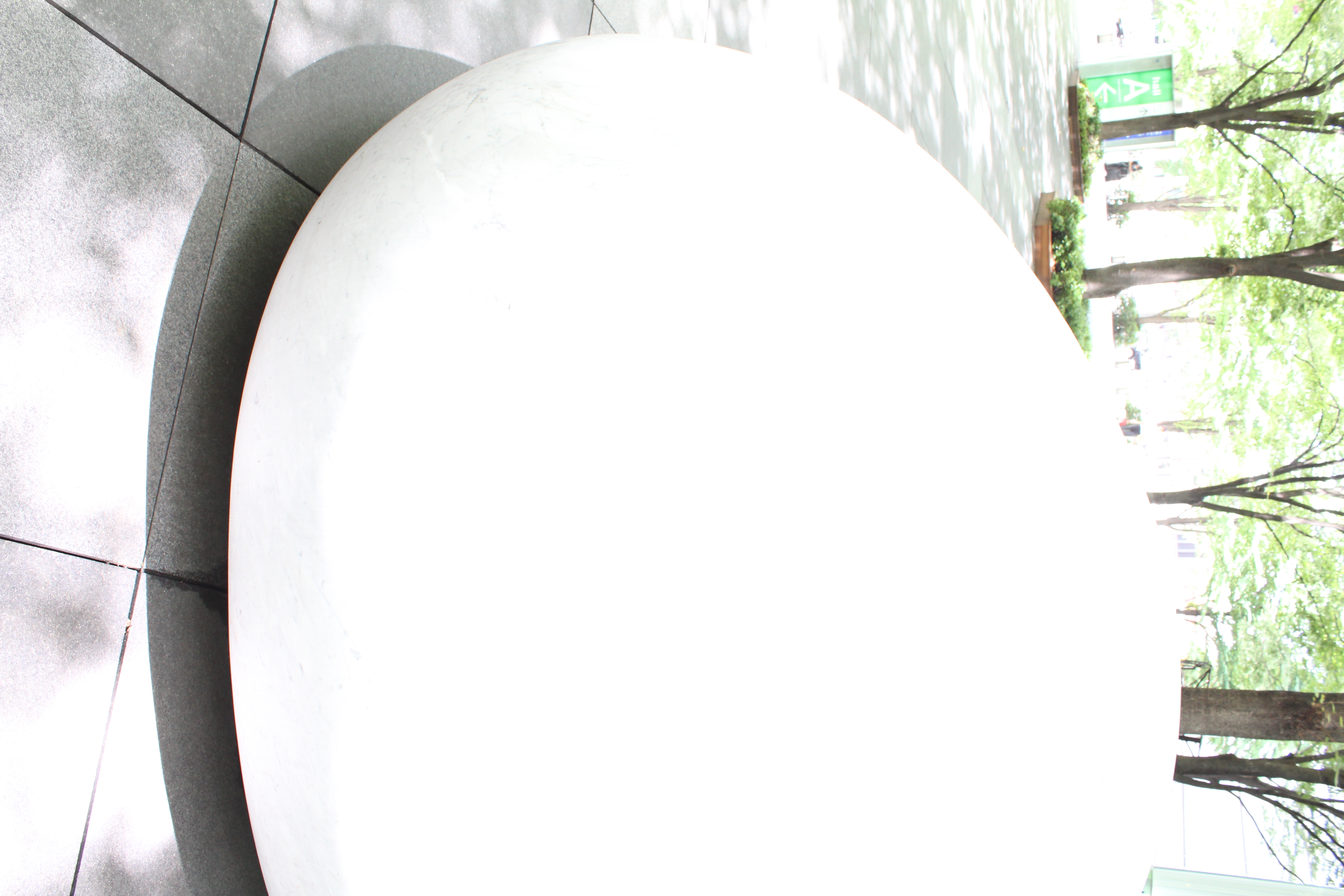 <b>プラス5EV補正です。真っ白です。真っ昼間なのにF8で1/30秒です。ISO800なのにね<br>EOS Kiss X4 / EF-S 18-55mm F3.5-5.6 IS / 5,184×3,456 / 1/30秒 / F8 / 5EV / ISO800 / WB：オート / 18mm</b>