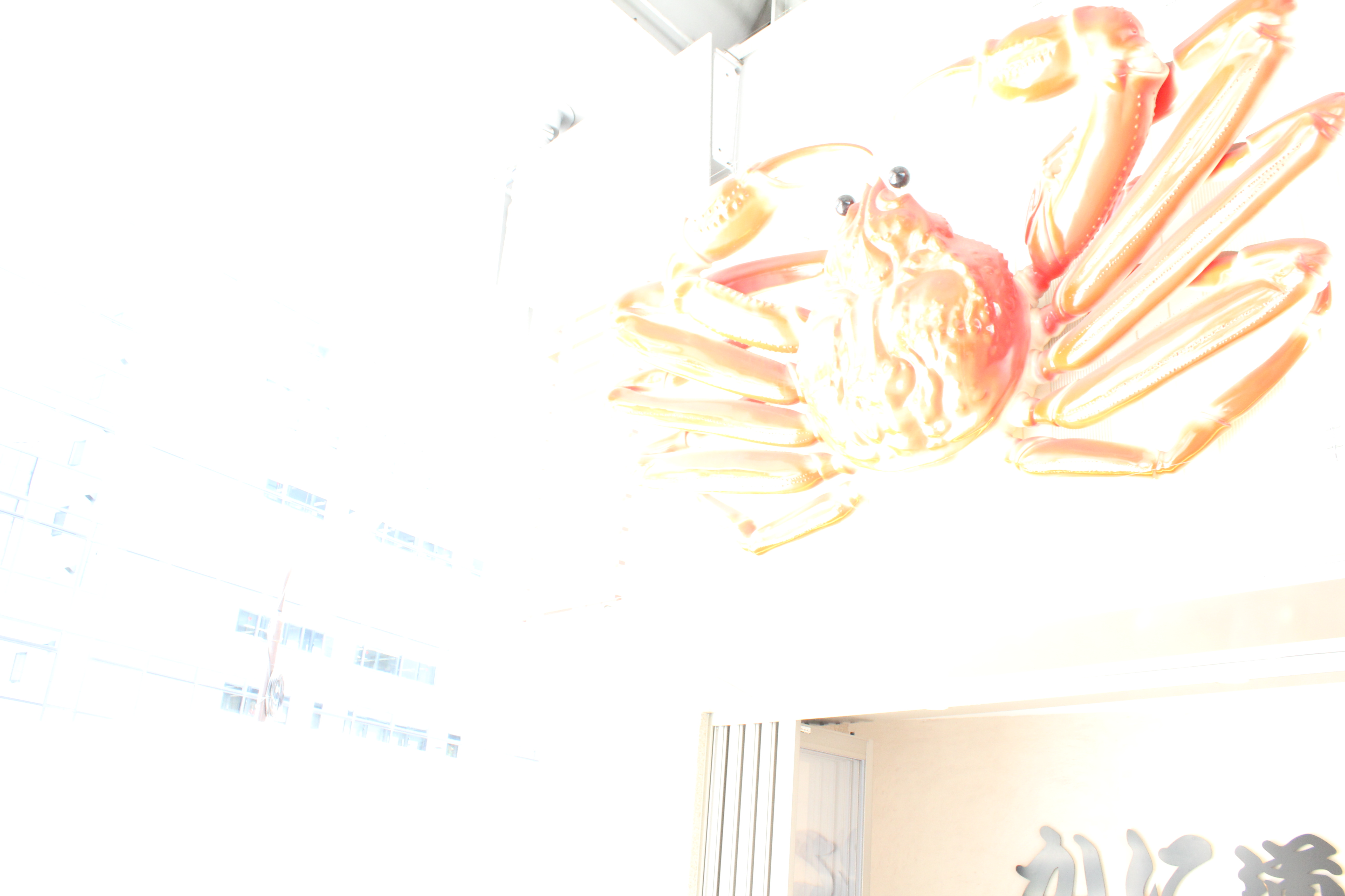 <b>チェーン店の巨大なカニの看板。これだけ露出がめちゃくちゃだと、本物のカニなのか、ただの看板なのか見分けが難しい（んなことないか）<br>EOS Kiss X4 / EF-S 18-55mm F3.5-5.6 IS / 5,184×3,456 / 1/30秒 / F8 / 5EV / ISO1250 / WB：オート / 18mm</b>